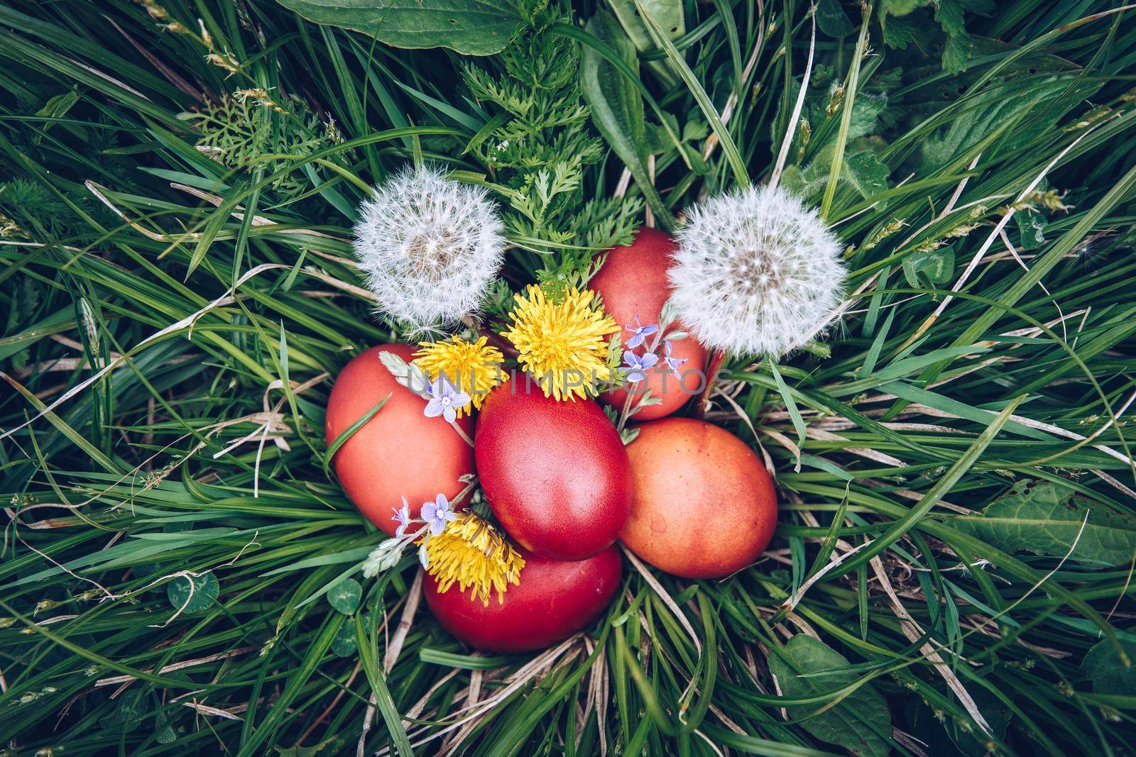 Red easter eggs on the grass with flowers and blowballs, naturally colored easter eggs with onion husks. Happy Easter, Christian religious holiday.