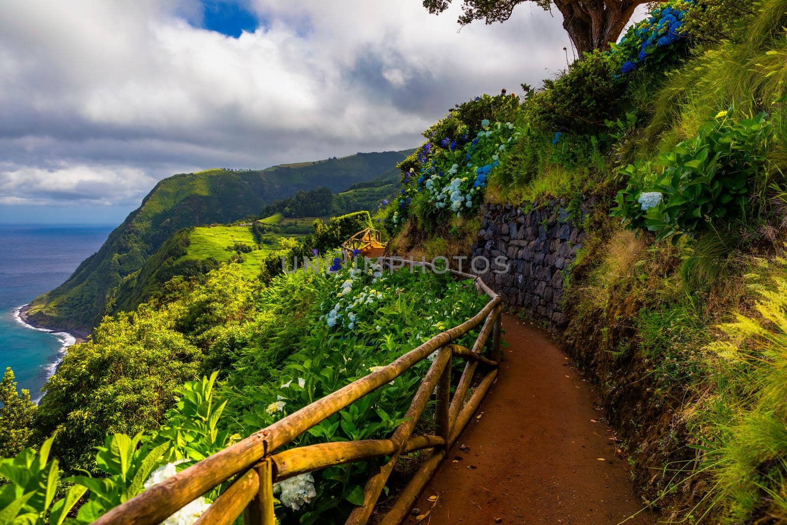 Viewpoint Ponta do Sossego, Sao Miguel Island, Azores, Portugal. View of flowers on a mountain and the ocean in Miradouro da Ponta do Sossego Nordeste, Sao Miguel, Azores, Portugal. 