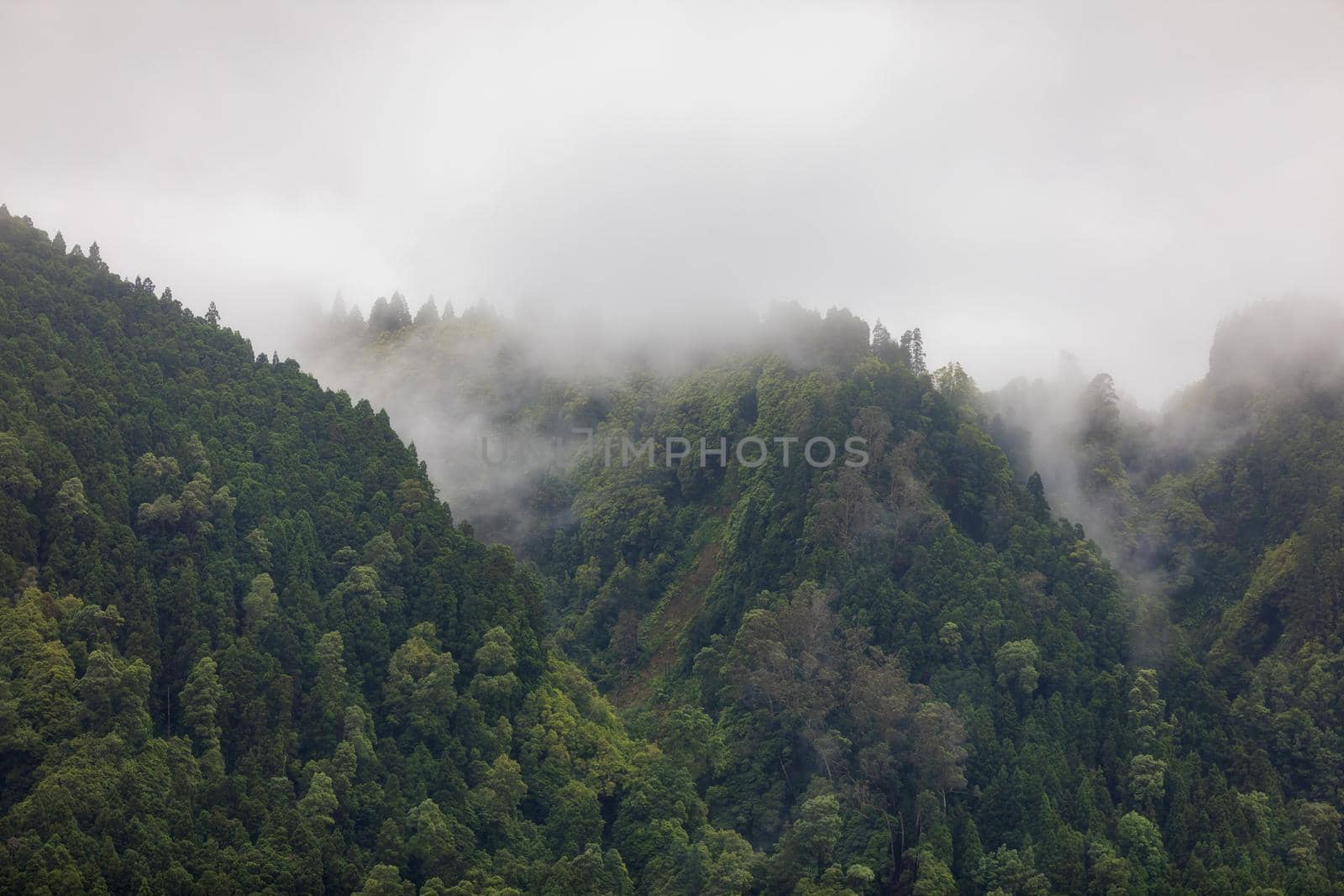 Azores panoramic view of natural landscape, wonderful scenic island of Portugal. Beautiful lagoons in volcanic craters and green fields. Tourist attraction and travel destination. Azores, Portugal.