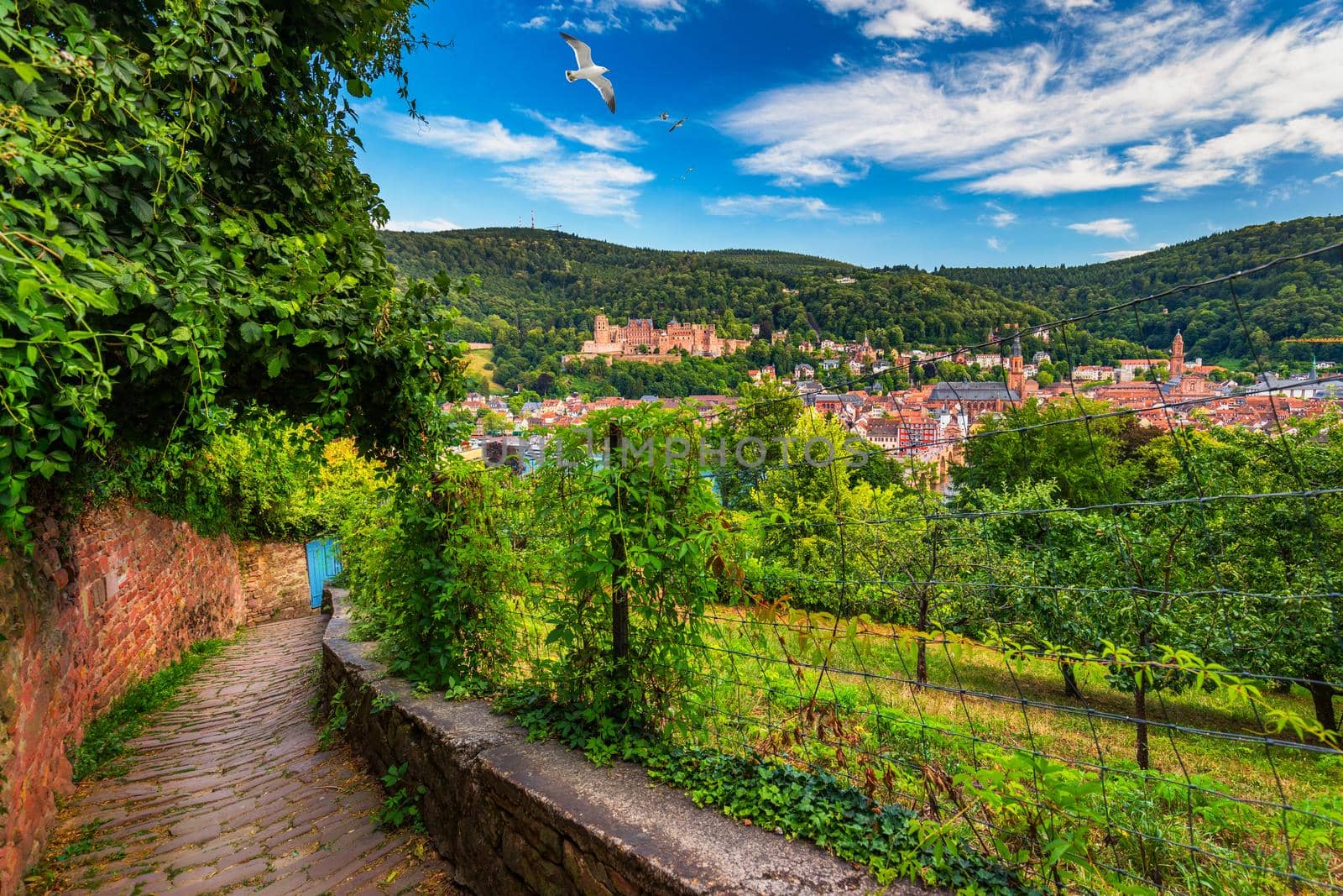 Landmark and beautiful Heidelberg town with Neckar river, Germany. Heidelberg town with the famous Karl Theodor old bridge and Heidelberg castle, Heidelberg, Germany. 