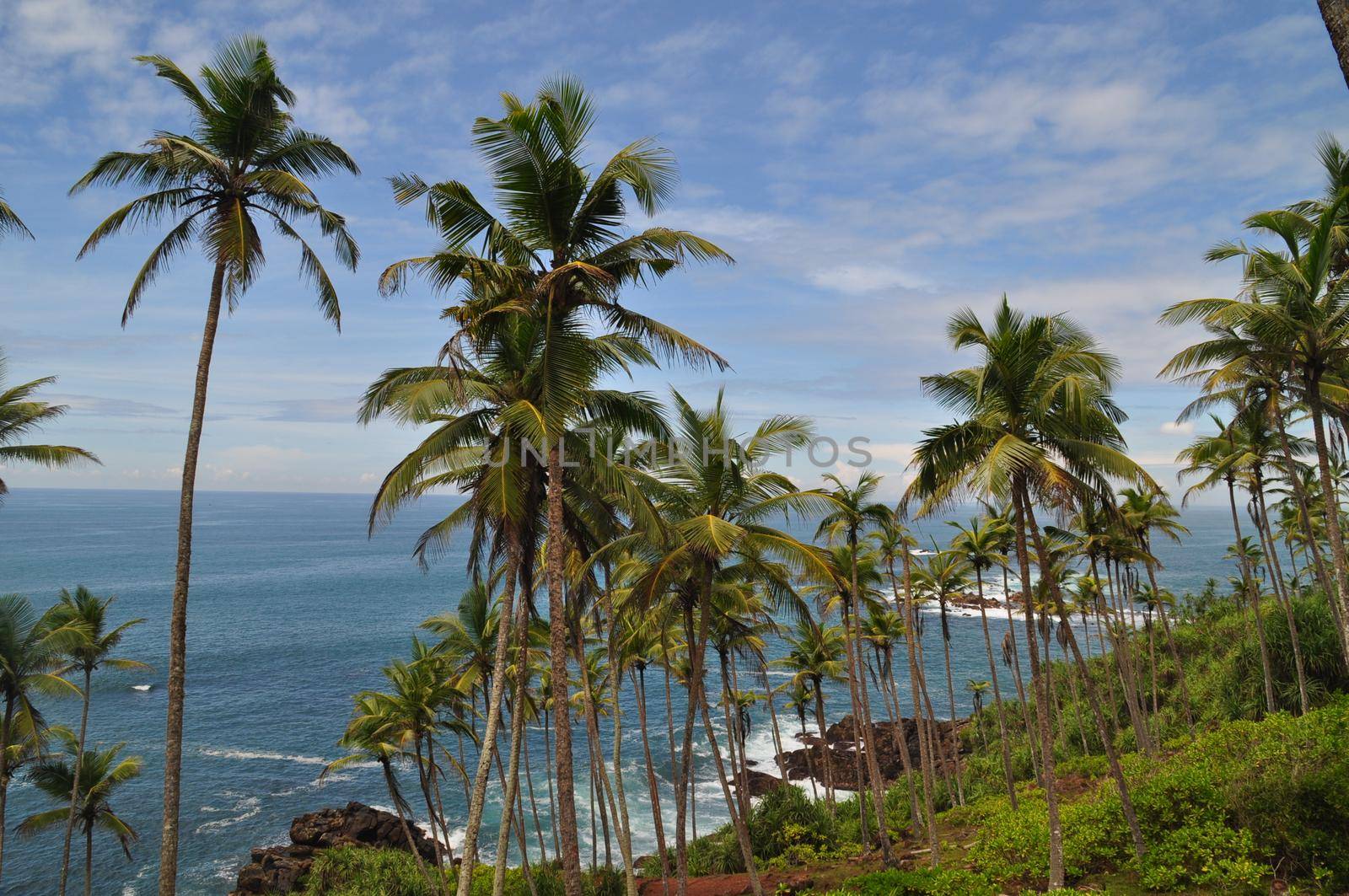 Coastal line near the city of Mirissa, Sri Lanka.