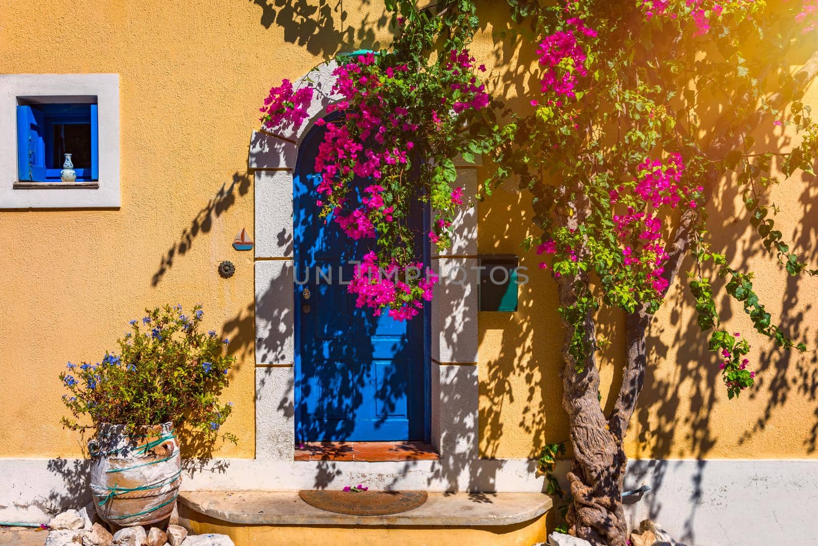 Traditional street with greek houses with flowers in Assos, Kefalonia island. Traditional colorful greek houses in Assos village. Blooming fuchsia plant flowers. Kefalonia island, Greece