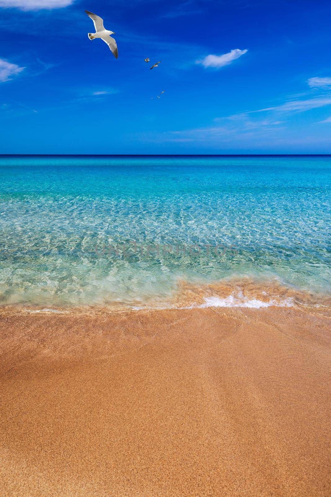 Yellow warm sand and summer sea with sky and free space. Sea, Sand, Sky and summer day. Beach and sea on a summer day, travel concept, vacation and relaxation. Summer sand beach and sea background.