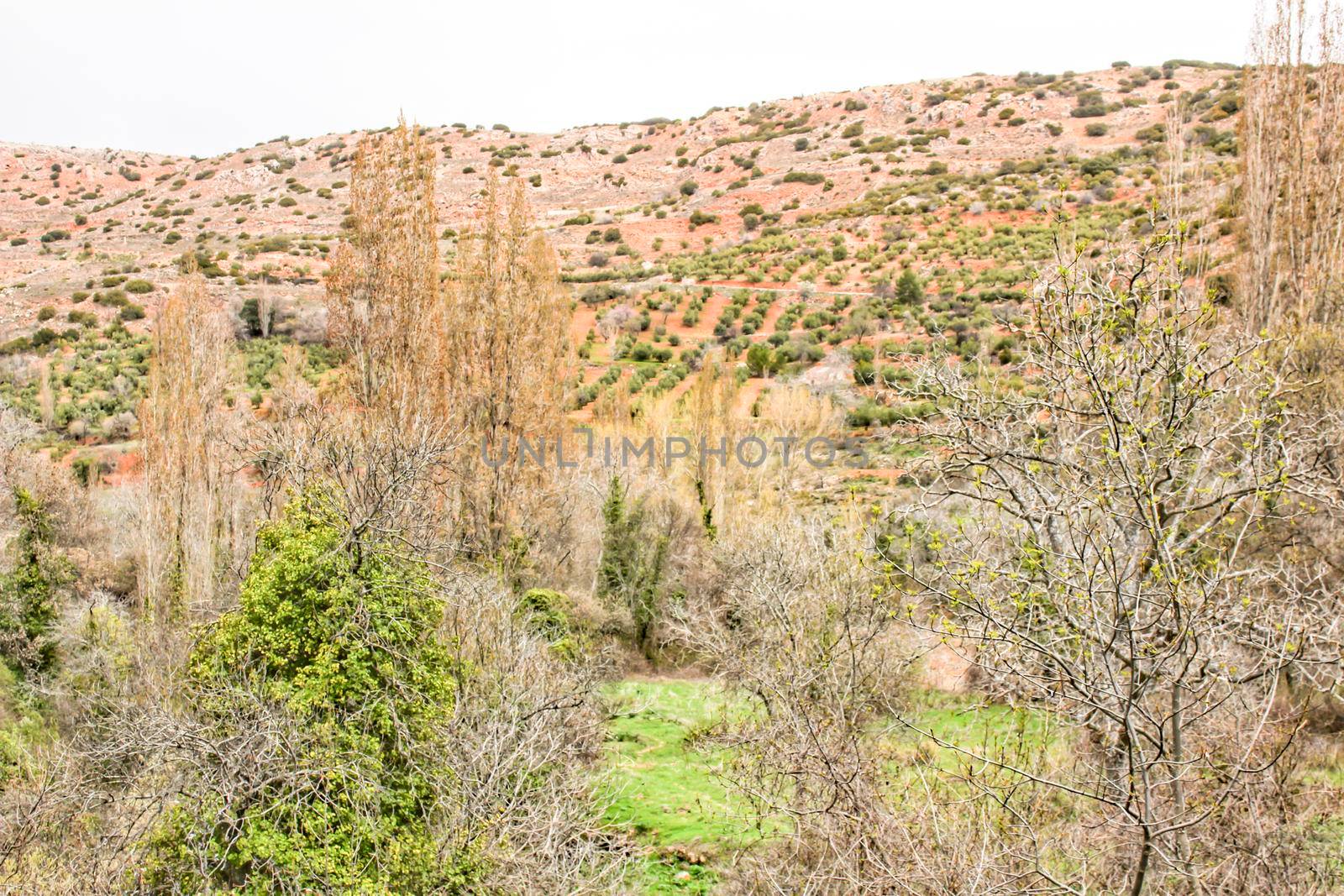 Mountain landscape with green vegetation in spring in Castilla la Mancha, Spain