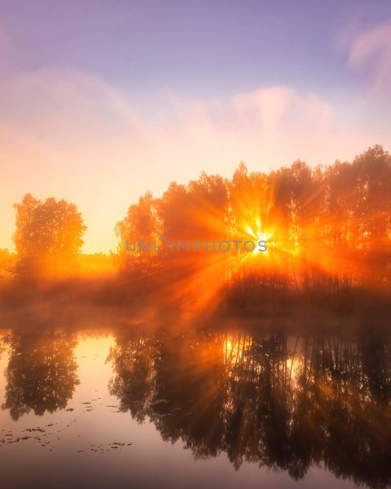 Golden misty sunrise on the pond in the autumn morning. Trees with rays of the sun cutting through the branches, reflected in the water.