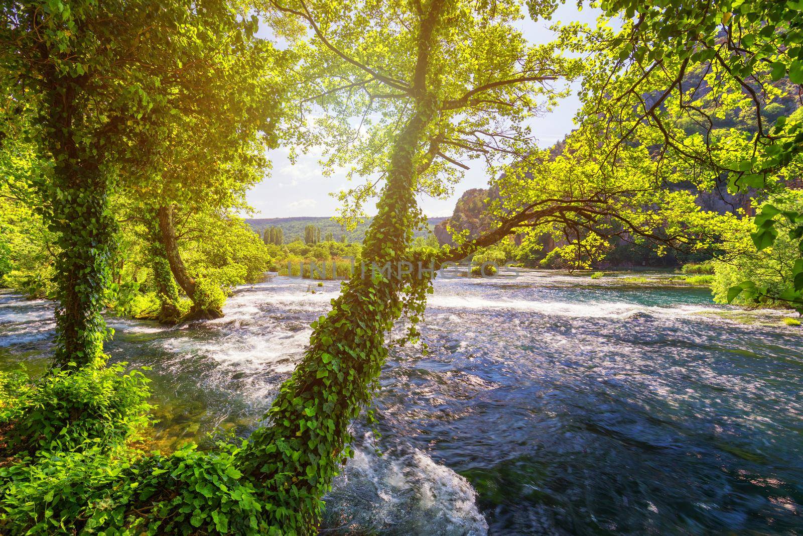 View of Krka National Park, Croatia, Europe. Splendid summer view of Krka waterfalls. Fantastic scene of Krka National Park, Croatia, Europe. 