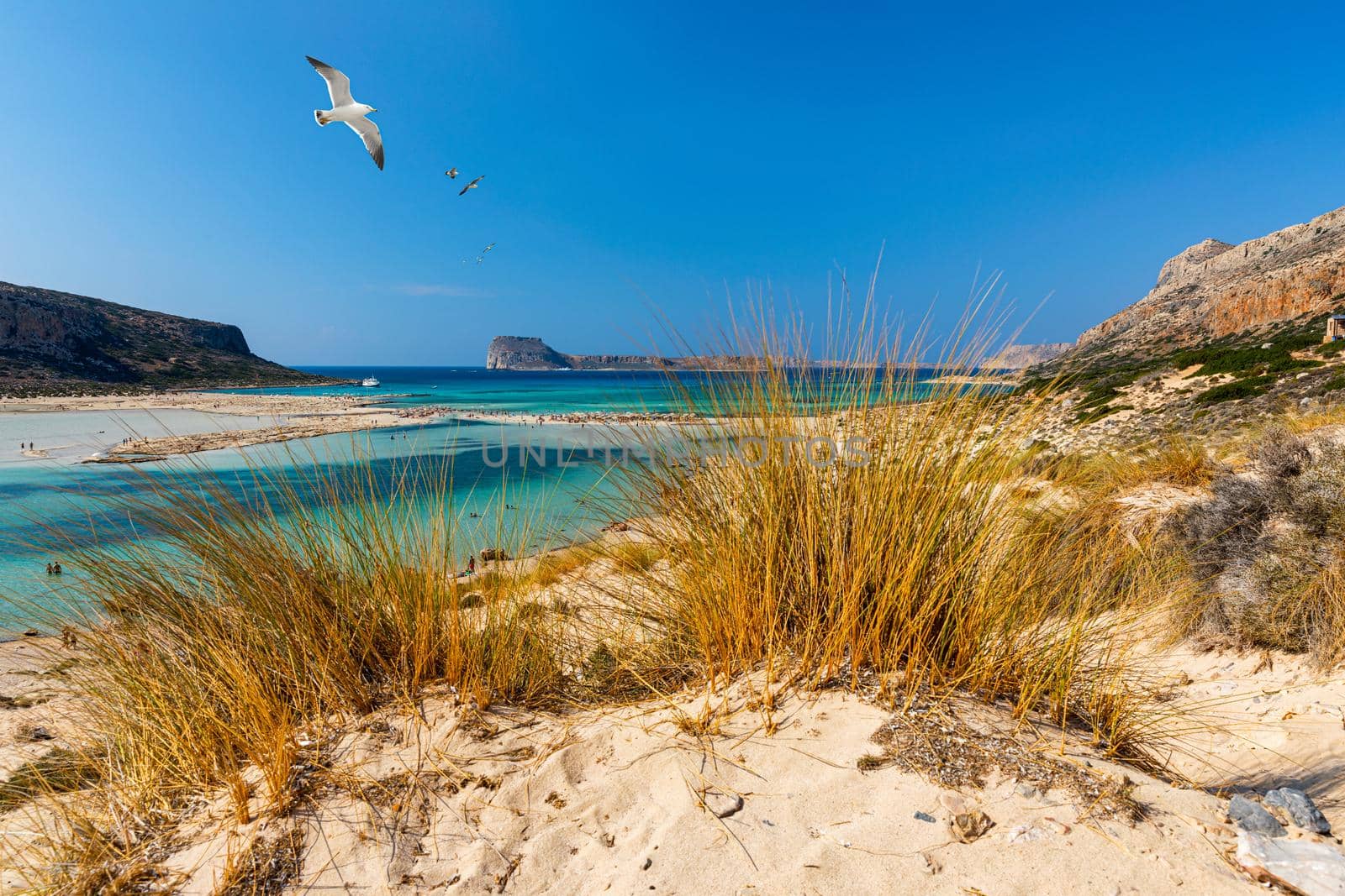 Balos Lagoon and Gramvousa island on Crete with seagulls flying over, Greece. Cap tigani in the center. Balos beach on Crete island, Greece. Crystal clear water of Balos beach.