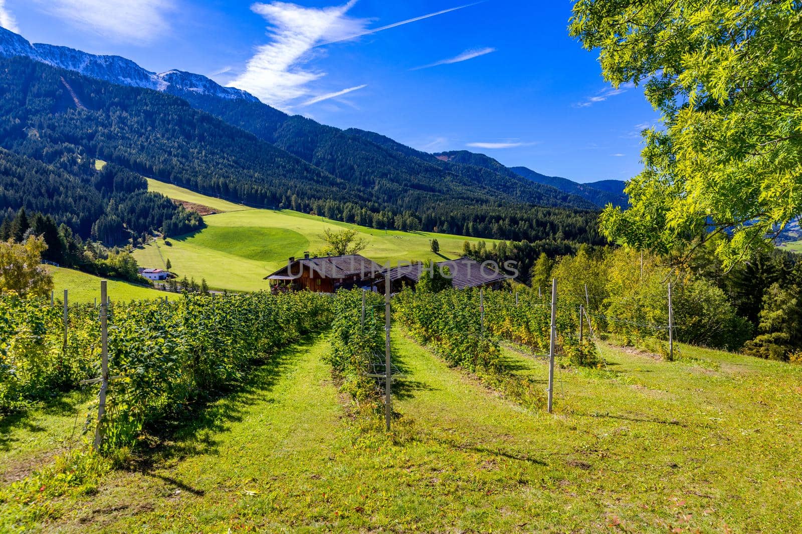 Farm field and village. Farm field and village on a blue sky day. Rural landscape farmhouse. Farm field and a village in Italy. Scenic farm field and a village in Italy in summer