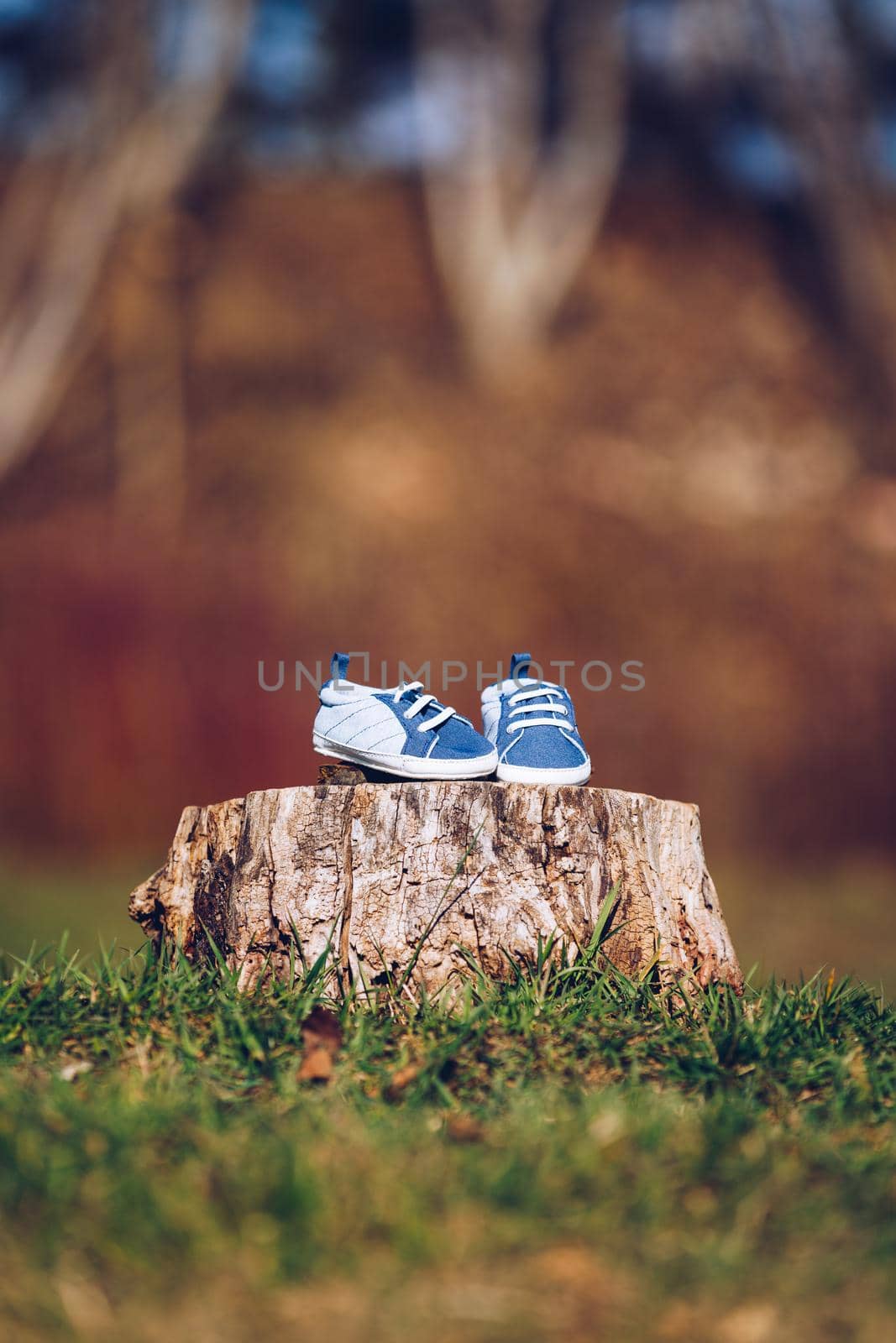 Young couple waiting for baby. Expecting parents with little baby boy shoes. Concept of Parents-To-Be. Shoes and sneakers of parents and expected baby. Mom, dad and the future baby Shoes.