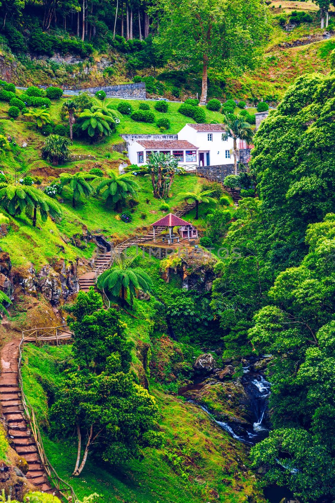 Waterfall at  Parque Natural Da Ribeira Dos Caldeiroes, Sao Miguel, Azores, Portugal. Beautiful waterfall surrounded with hydrangeas in Ribeira dos Caldeiroes park, Sao Miguel, Azores, Portugal