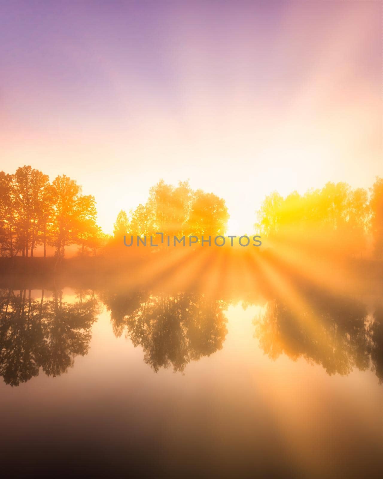 Golden misty sunrise on the pond in the autumn morning. Trees with rays of the sun cutting through the branches, reflected in the water.