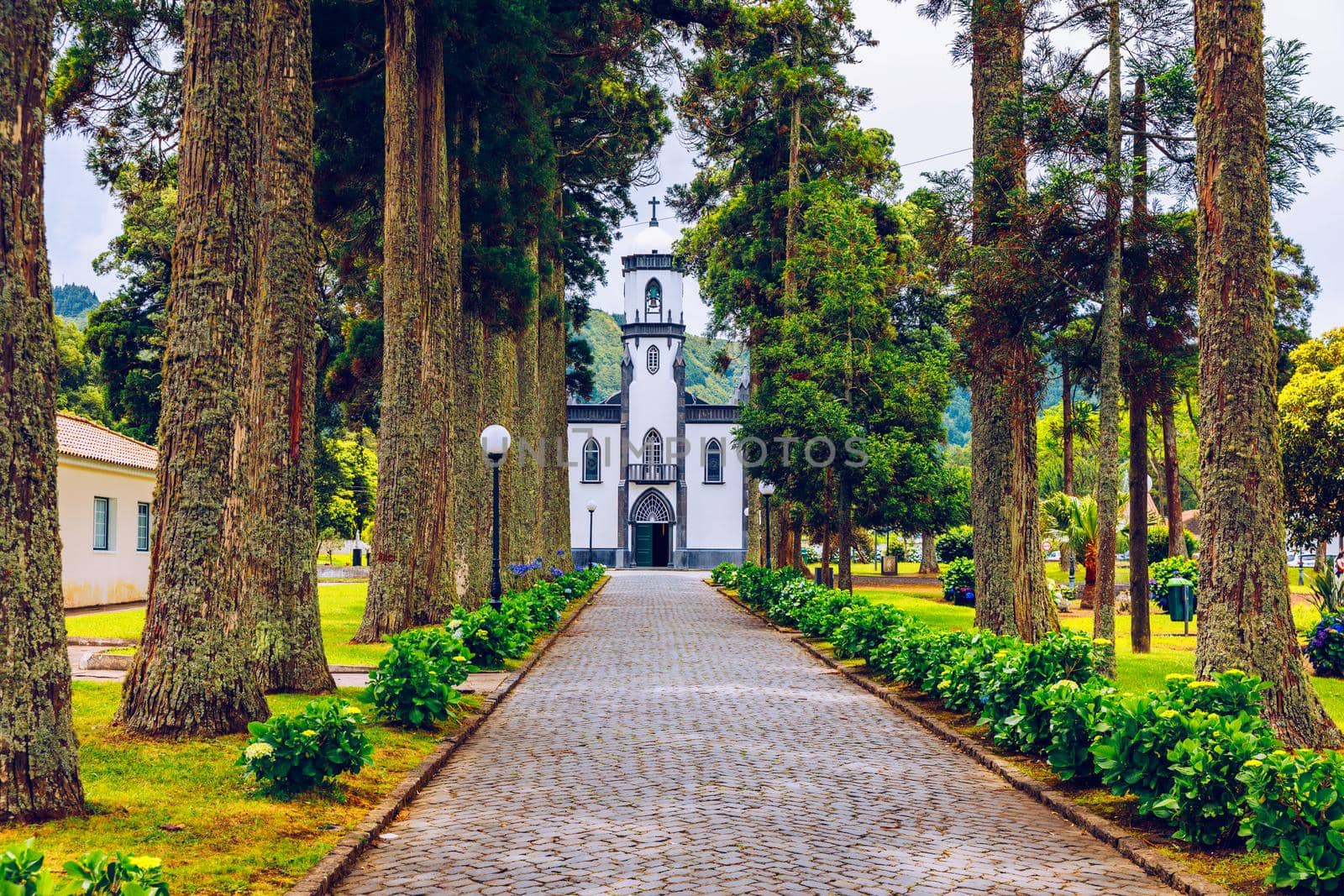 Church of Sao Nicolau (Saint Nicolas) with an alley of tall trees and hydrangea flowers in Sete cidades on Sao Miguel island, Azores, Portugal. Parish Church of St. Nicholas, Sete Cidades, Azores.