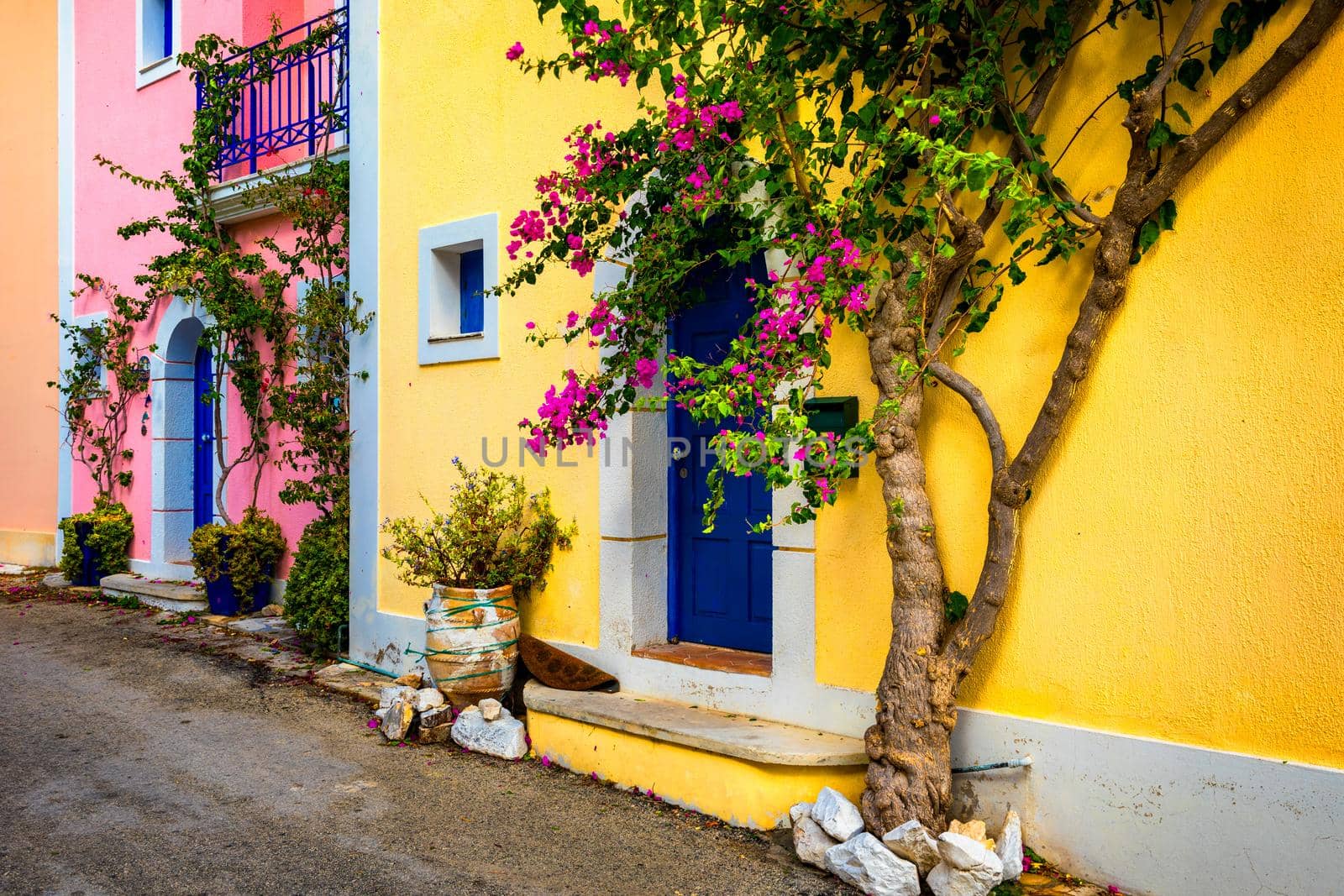 Traditional street with greek houses with flowers in Assos, Kefalonia island. Traditional colorful greek houses in Assos village. Blooming fuchsia plant flowers. Kefalonia island, Greece