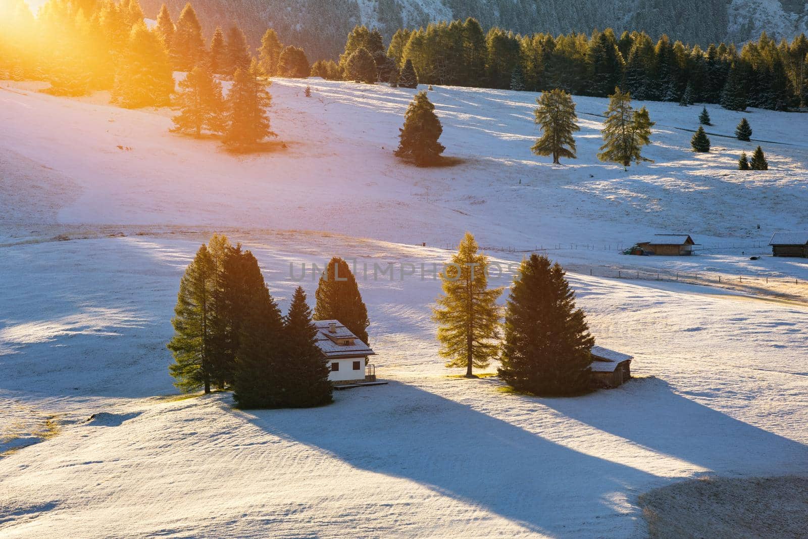 Alpe di Siusi or Seiser Alm with Sassolungo, Langkofel mountain group in background. Alpe di Siusi or Seiser Alm, Sassolungo and Sassopiatto mountains, Trentino Alto Adige, Sud Tyrol, Italy, Europe.