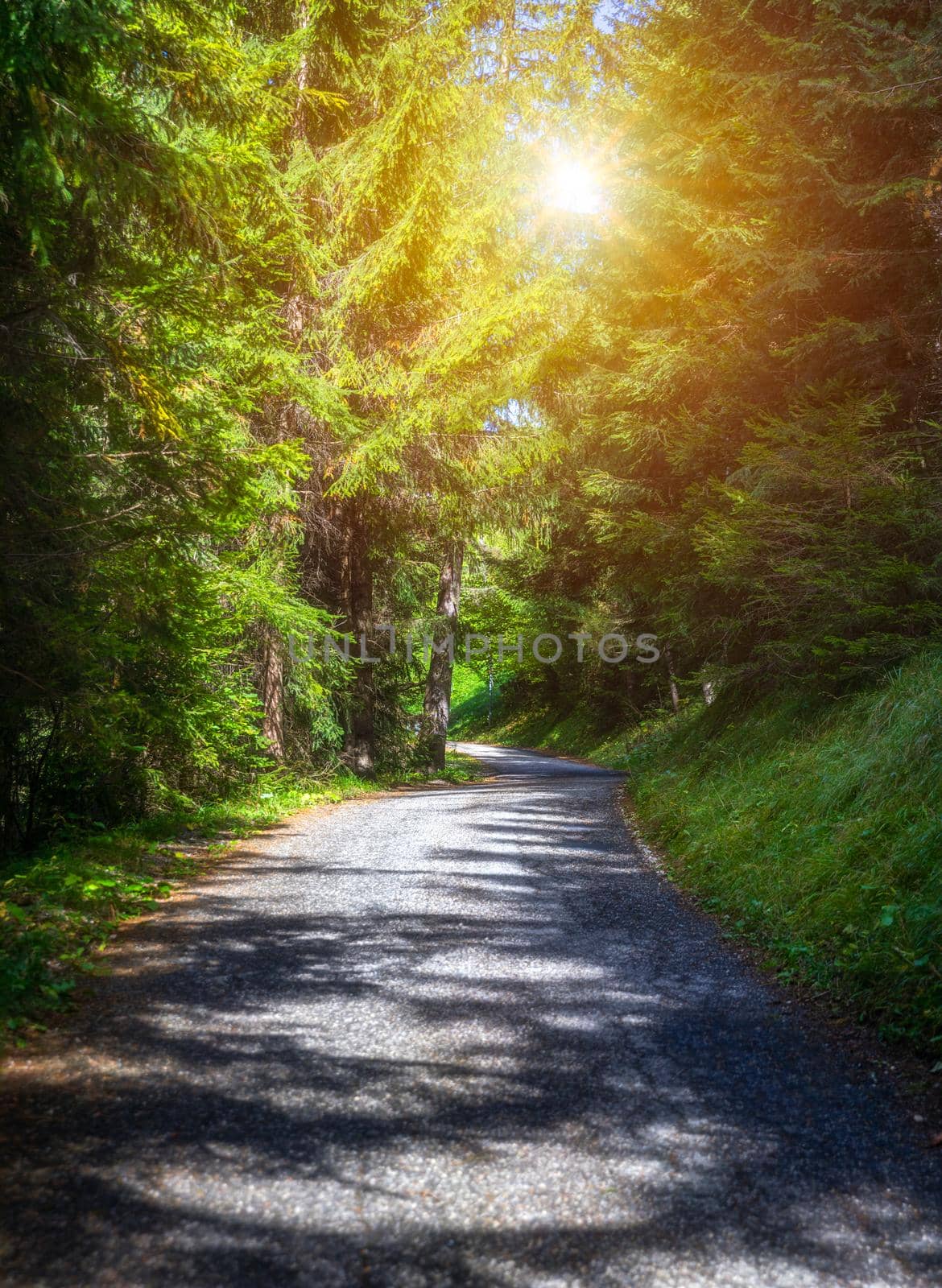 Mountain road. Landscape with rocks, sunny sky with clouds and beautiful asphalt road in the evening in summer. Vintage toning. Travel background. Highway in mountains.  