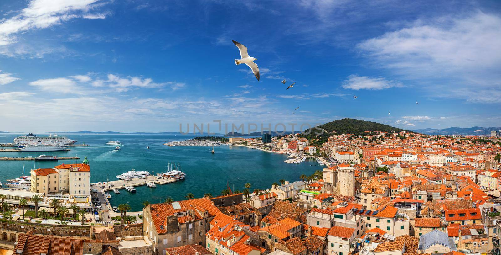 Split waterfront and Marjan hill aerial view, Dalmatia, Croatia. Panoramic summer cityscape of old medieval city Split, Croatia, Europe.  Traveling concept background. Seagull's flying over Split.