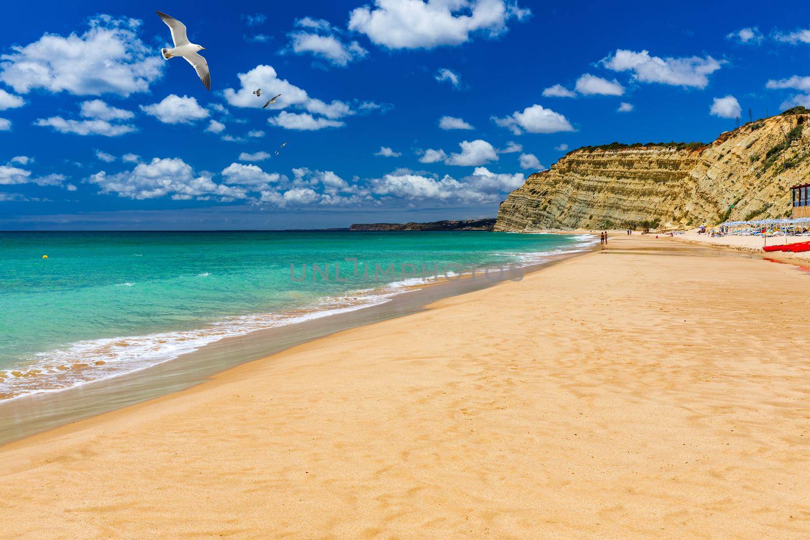 Praia de Porto de Mos with seagulls flying over the beach, Lagos, Portugal. Praia do Porto de Mos, long beach in Lagos, Algarve region, Portugal. 