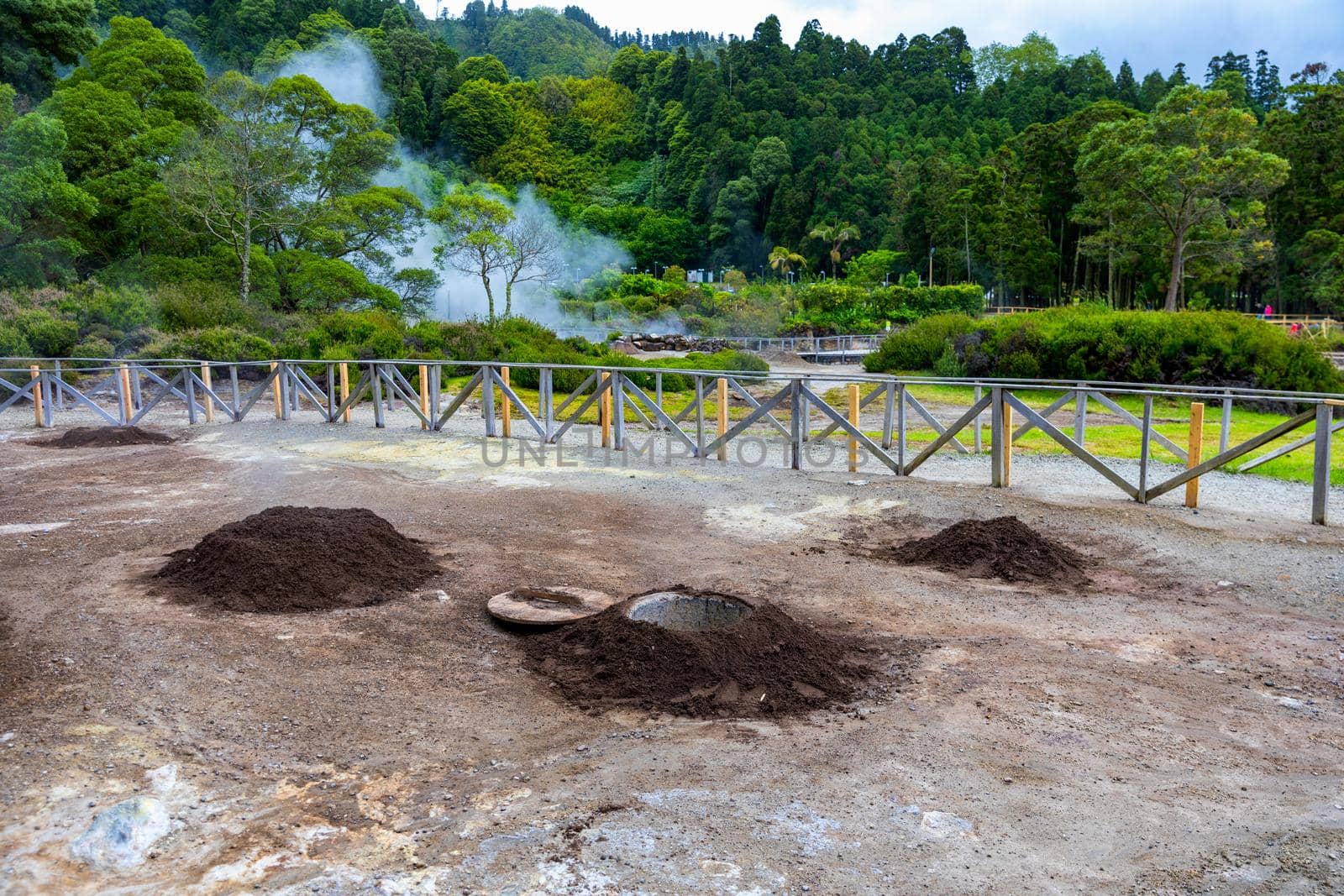Cooking of Cozido Das Furnas meal, Sao Miguel, Azores. Hole in the ground for cooking Cozido das Furnas, a meat stew cooked by the volcanic steam from Furnas Lake, Sao Miguel, Azores, Portugal. 