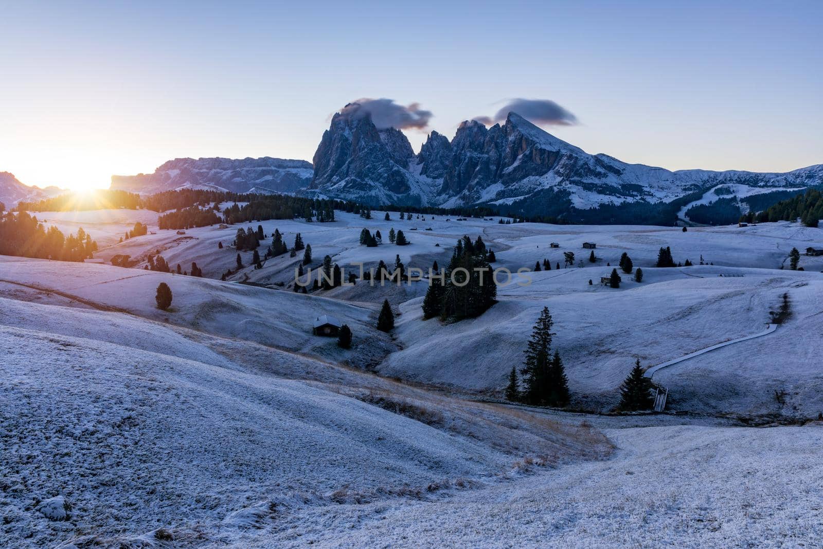 Alpe di Siusi or Seiser Alm with Sassolungo, Langkofel mountain group in background. Alpe di Siusi or Seiser Alm, Sassolungo and Sassopiatto mountains, Trentino Alto Adige, Sud Tyrol, Italy, Europe.