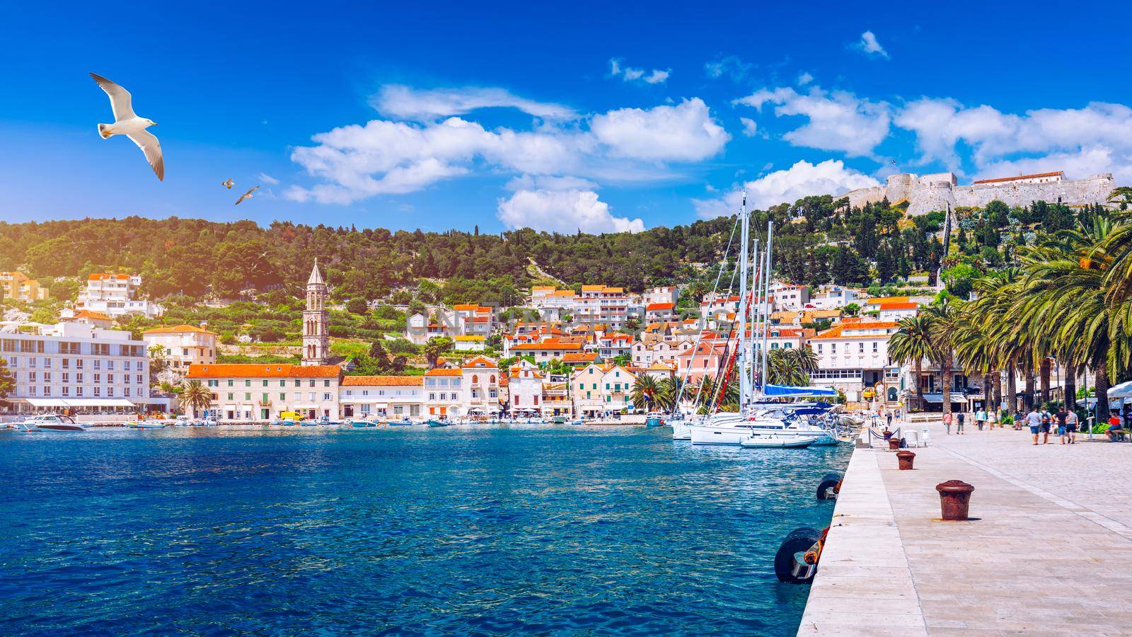 Hvar town with seagull's flying over city, famous luxury travel destination in Croatia. Boats on Hvar island, one of the many Islands near Dubrovnik and Korcula on the Dalmatian Coast of Croatia.