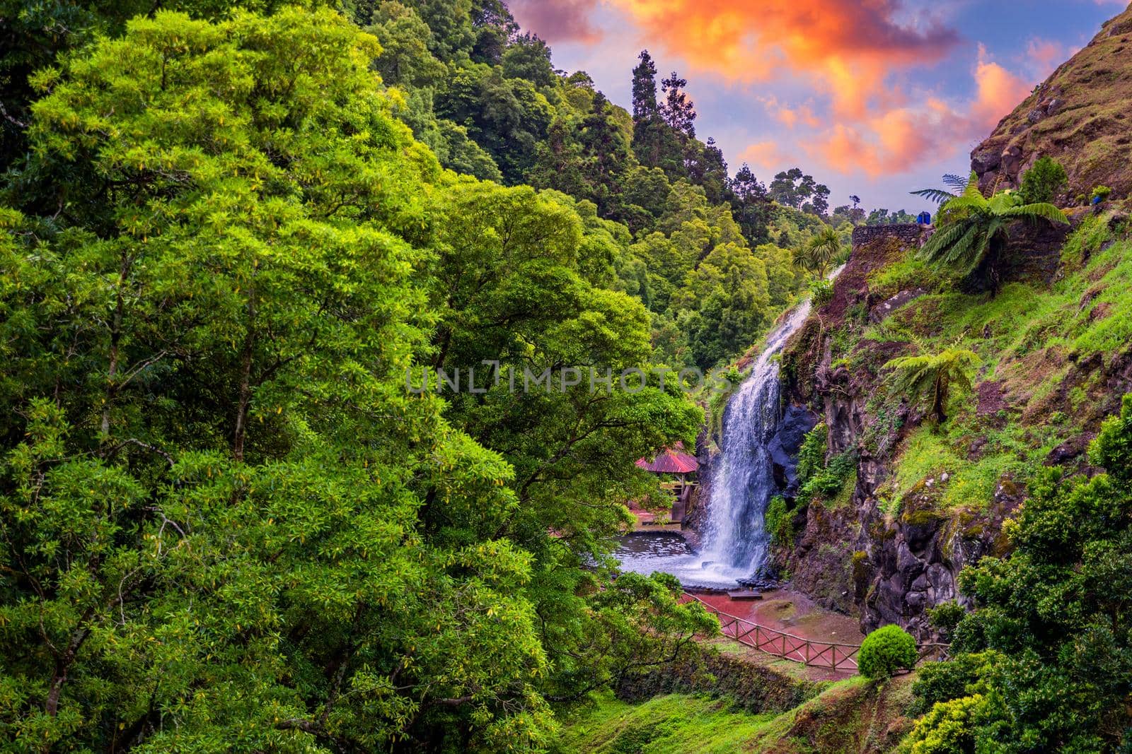 Waterfall at  Parque Natural Da Ribeira Dos Caldeiroes, Sao Miguel, Azores, Portugal. Beautiful waterfall surrounded with hydrangeas in Ribeira dos Caldeiroes park, Sao Miguel, Azores, Portugal