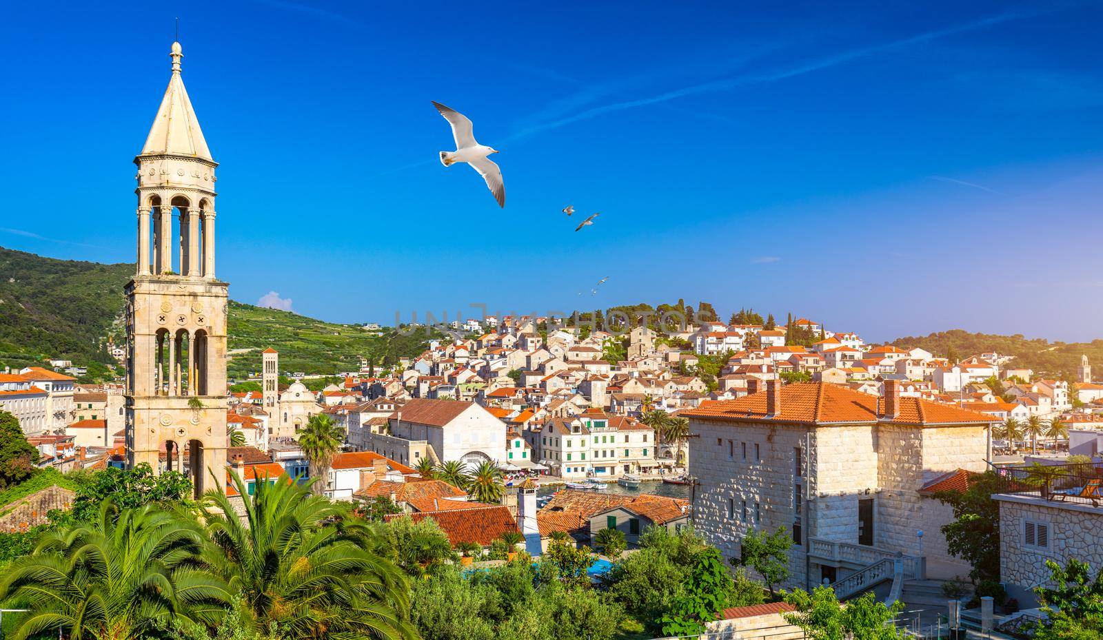 View at amazing archipelago in front of town Hvar, Croatia with seagull's flying over the city. Harbor of old Adriatic island town Hvar. Amazing Hvar city on Hvar island, Croatia. 