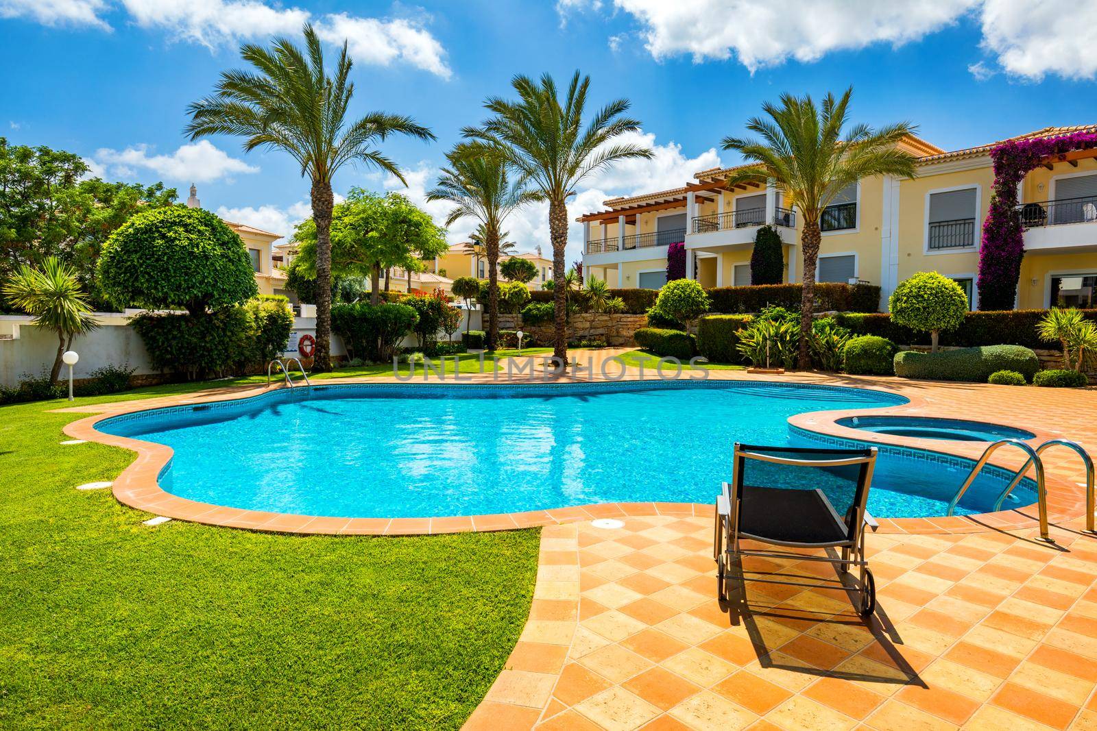 Great backyard with swimming pool, hot tub and lounge chairs. Swimming pool in backyard. Incredible swimming pool and garden with palm trees and flowers in a sunny day.