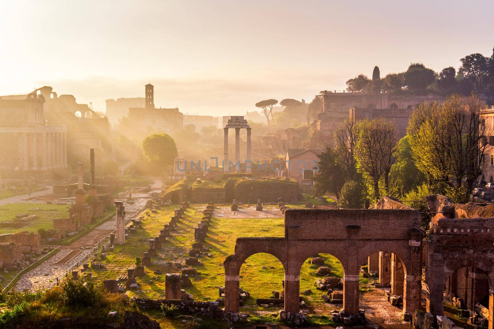 Roman Forum. Image of Roman Forum in Rome, Italy during sunrise.