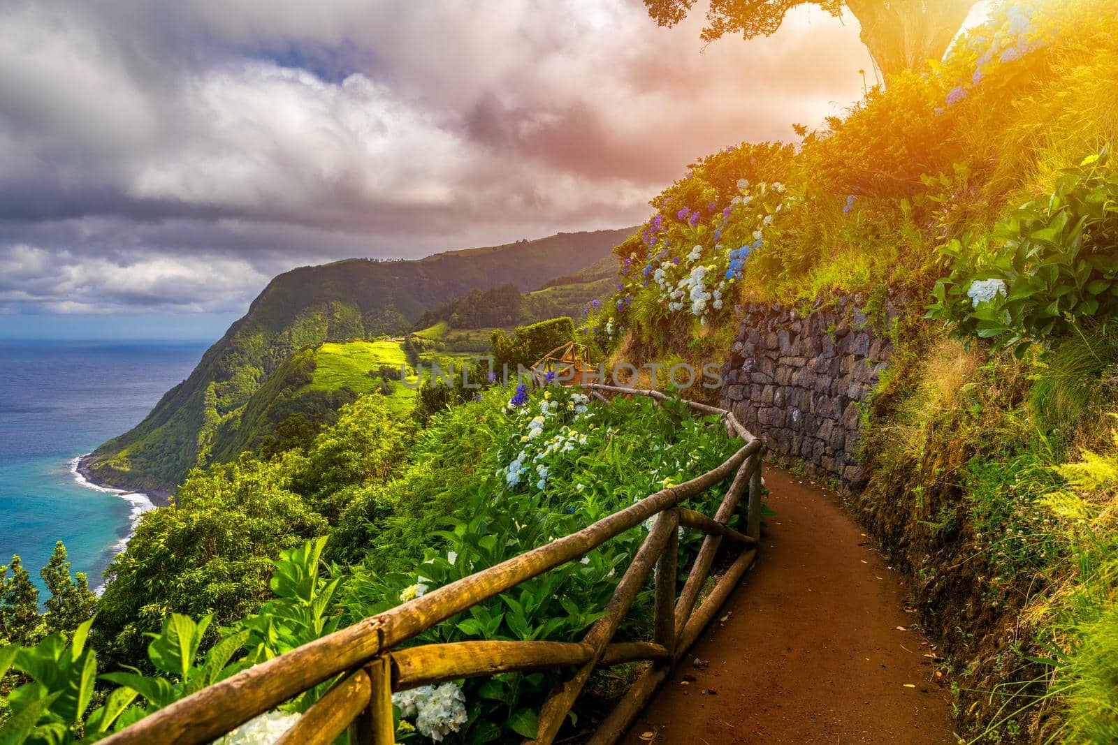 Viewpoint Ponta do Sossego, Sao Miguel Island, Azores, Portugal. View of flowers on a mountain and the ocean in Miradouro da Ponta do Sossego Nordeste, Sao Miguel, Azores, Portugal. 