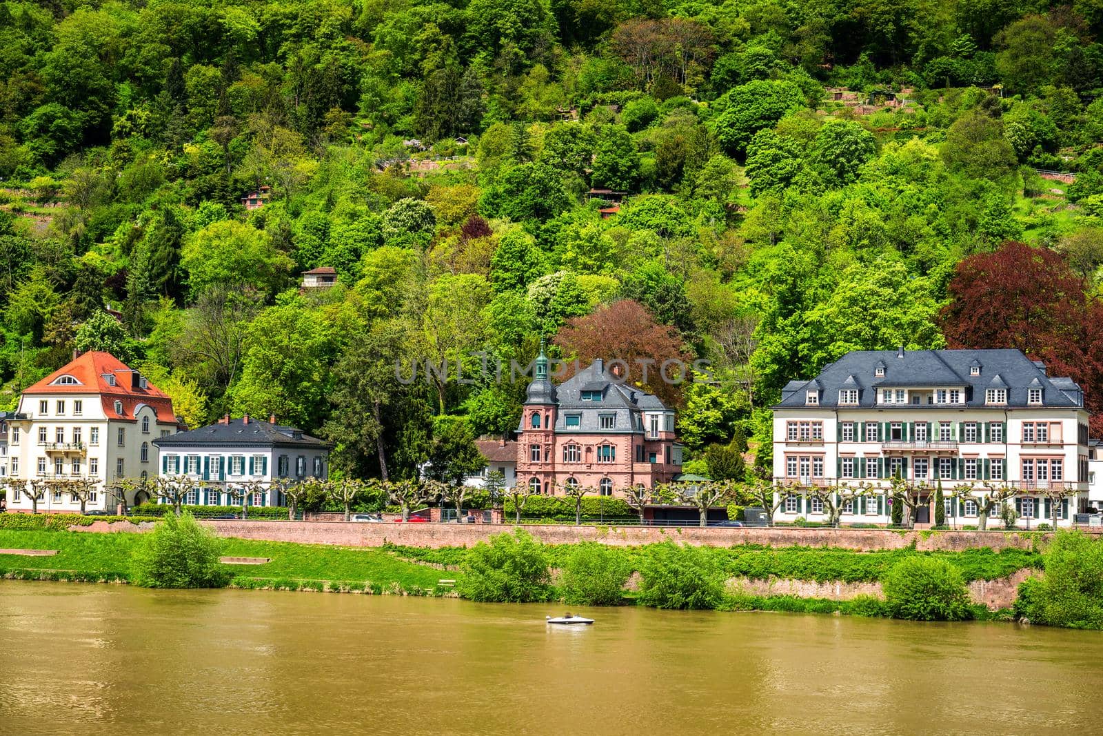 Heidelberg town with the famous old bridge and Heidelberg castle, Heidelberg, Germany