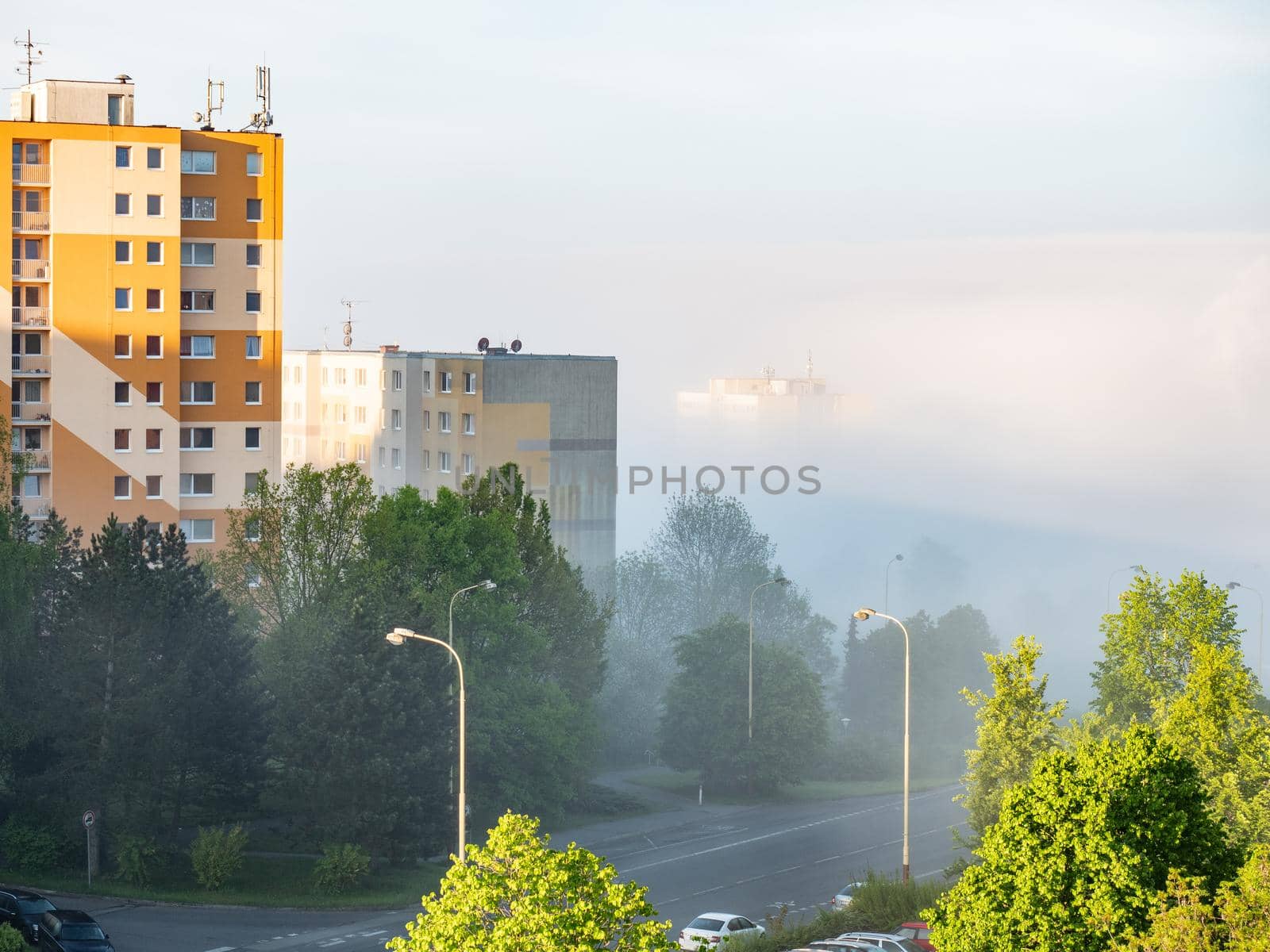 Flat houses and trees on the hill above morning mist. Cars waiting on parking place