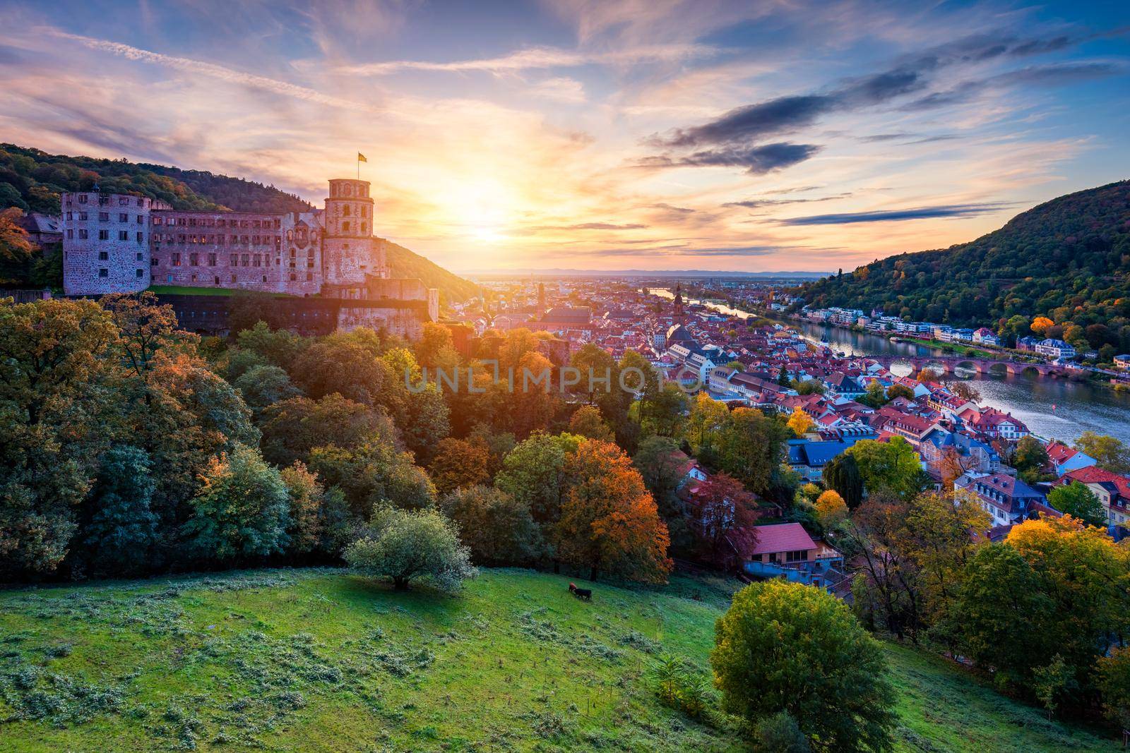 Heidelberg skyline aerial view from above. Heidelberg skyline aerial view of old town river and bridge, Germany. Aerial View of Heidelberg, Germany Old Town. Video of the aerial view of Heidelberg.