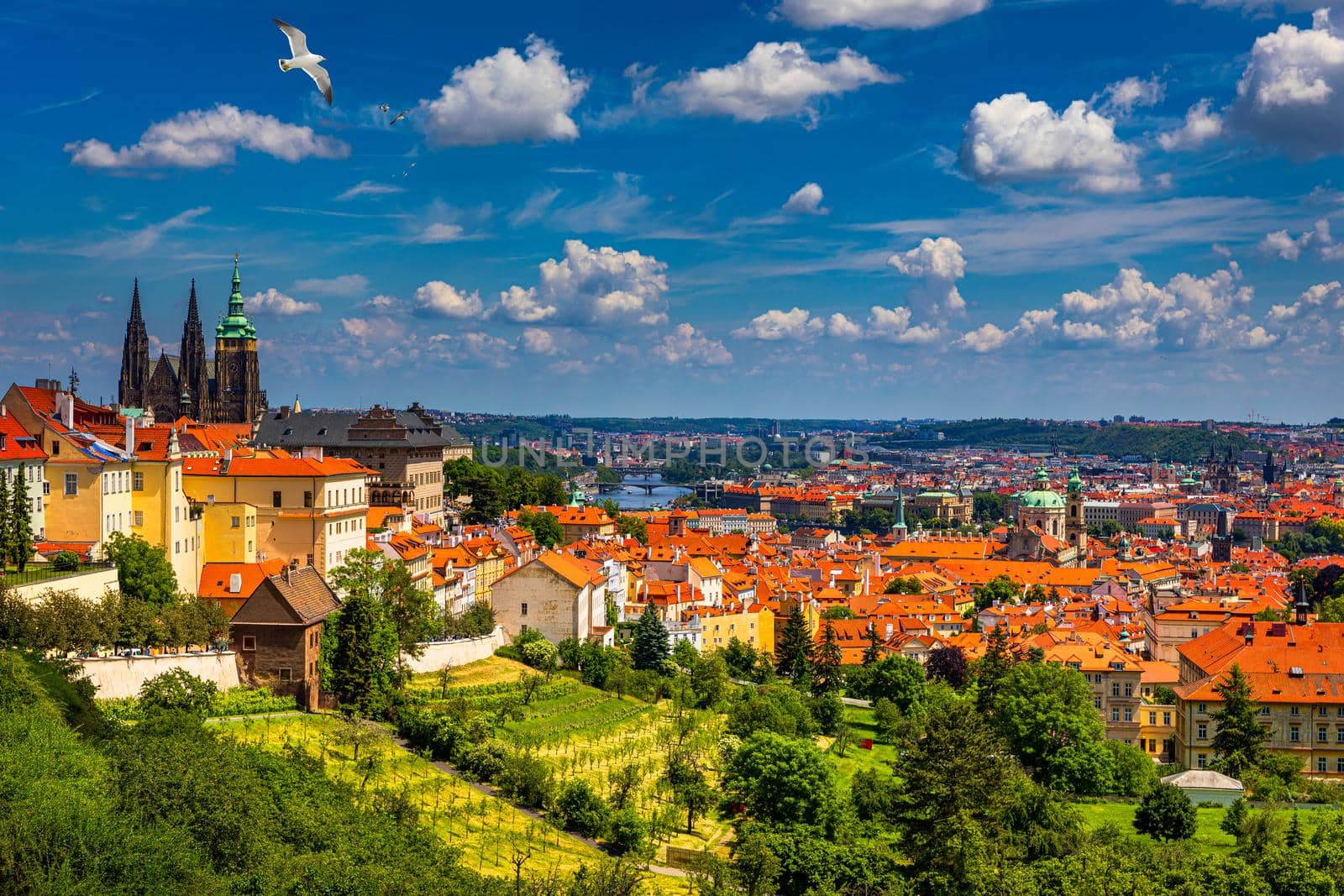 Prague Castle and Lesser Town panorama. View from Petrin Hill. Prague, Czech Republic. Spring Prague panorama from Prague Hill with Prague Castle, Vltava river and historical architecture. Czechia.