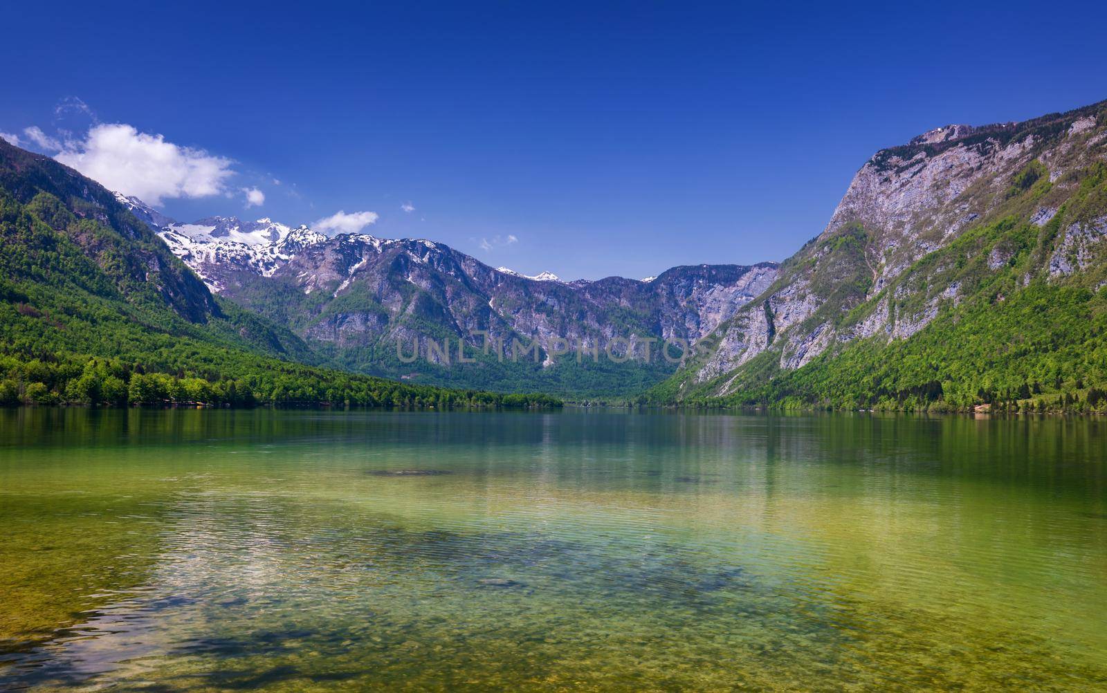 Lake Bohinj in Slovenia, beauty in nature. Colorful summer on the Bohinj lake in Triglav national park Slovenia, Alps, Europe. Mountain Lake bohinj in Julian Alps, Slovenia
