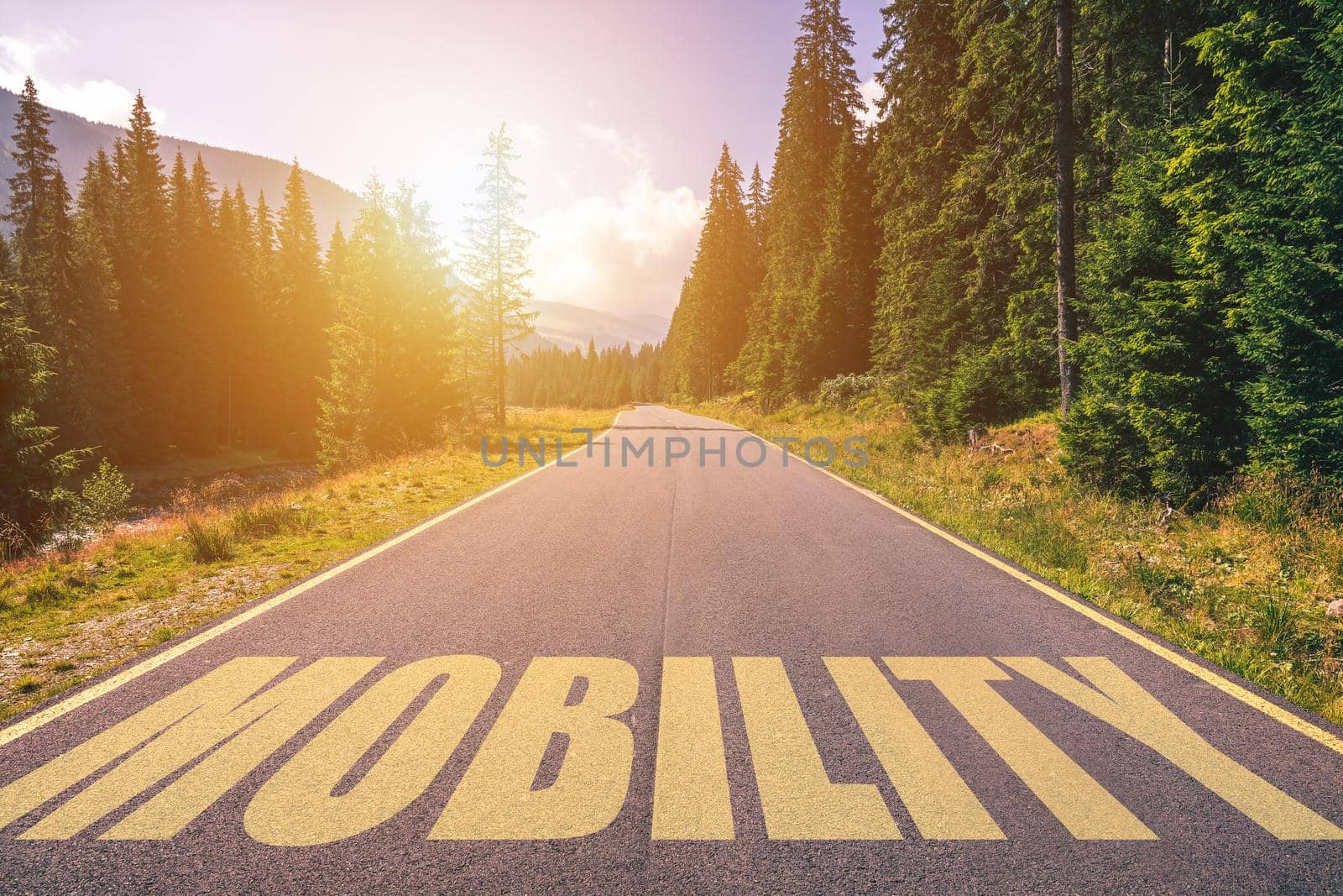 Mobility written on road in the mountains. Mobility text on the road.