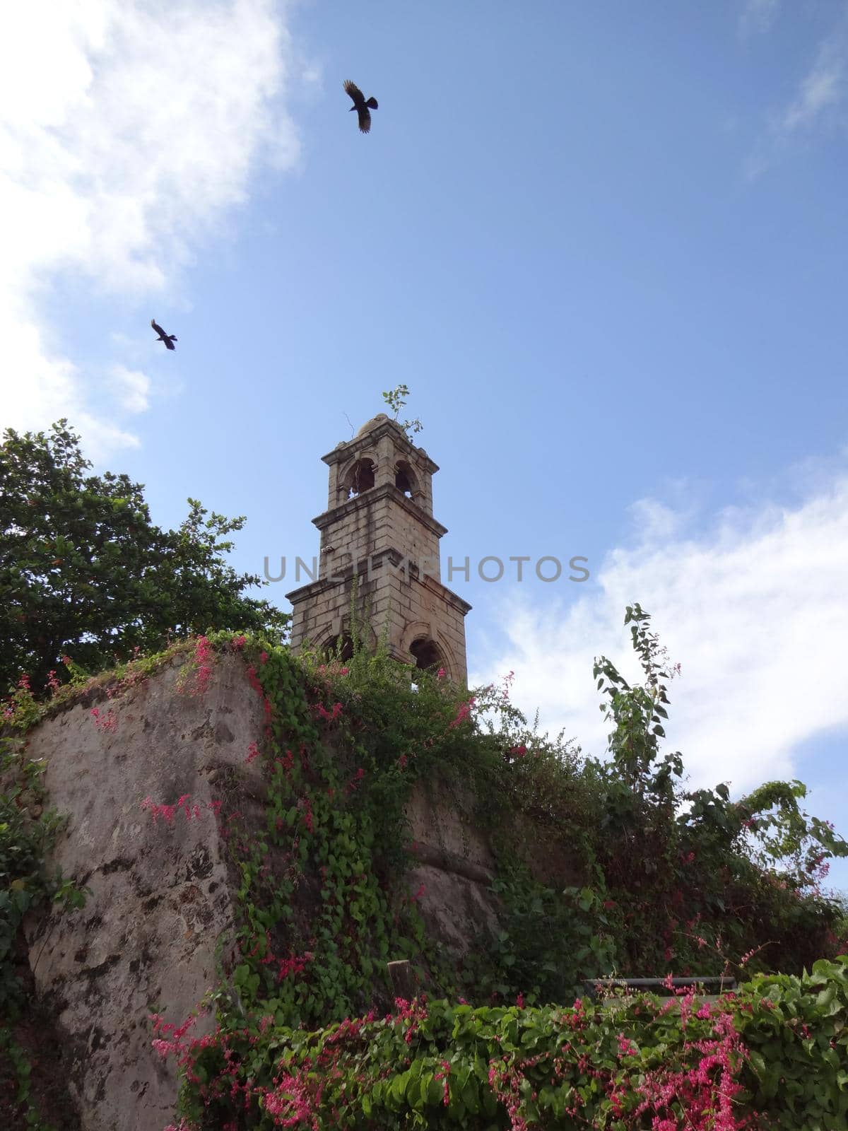 Tower of the abandoned Negombo fort, Sri Lanka by Capos