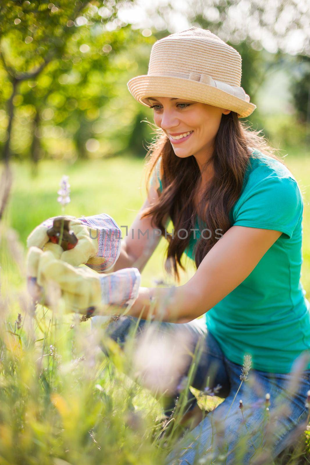 Gardening by djoronimo