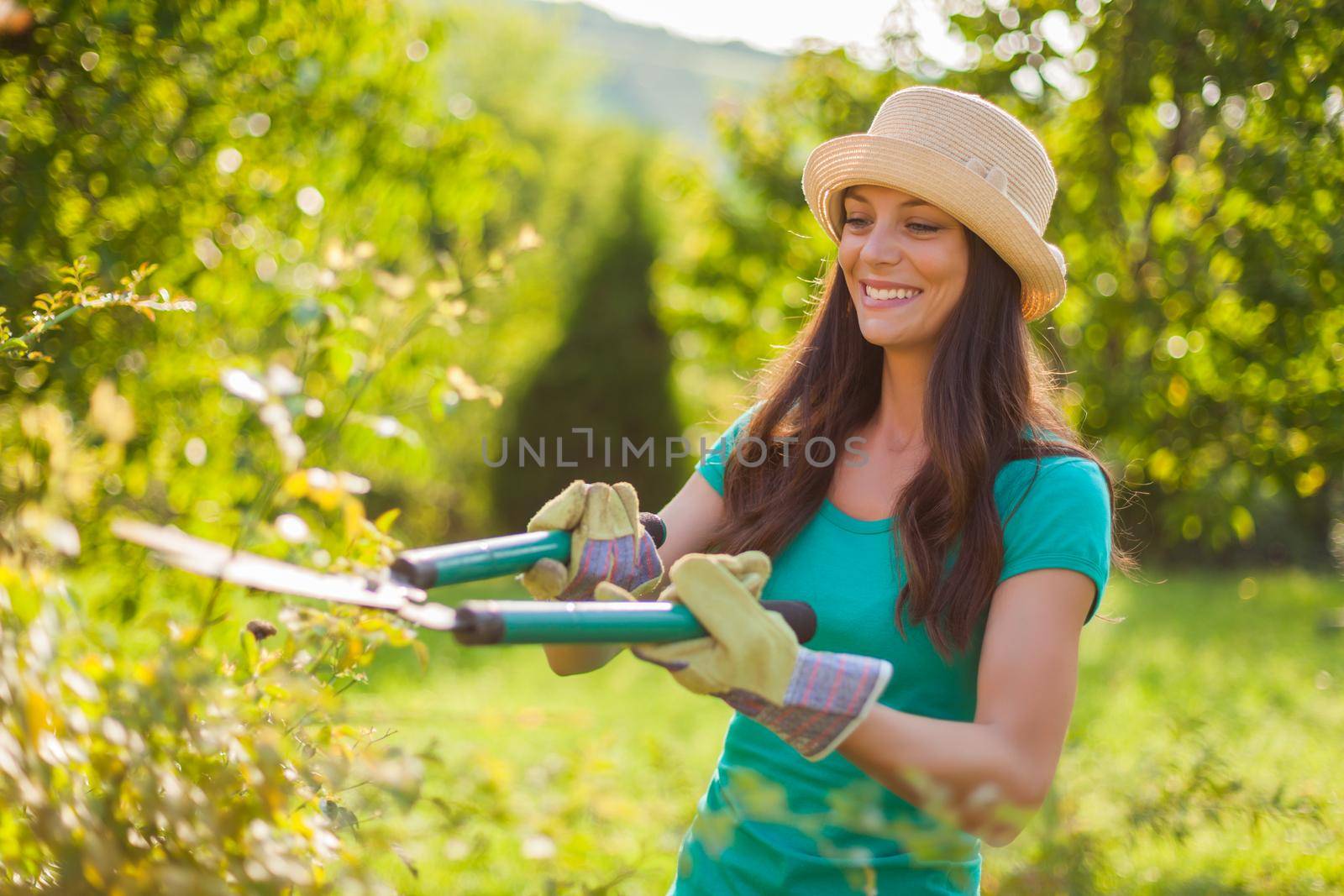Young woman in her garden. She is pruning bushes.