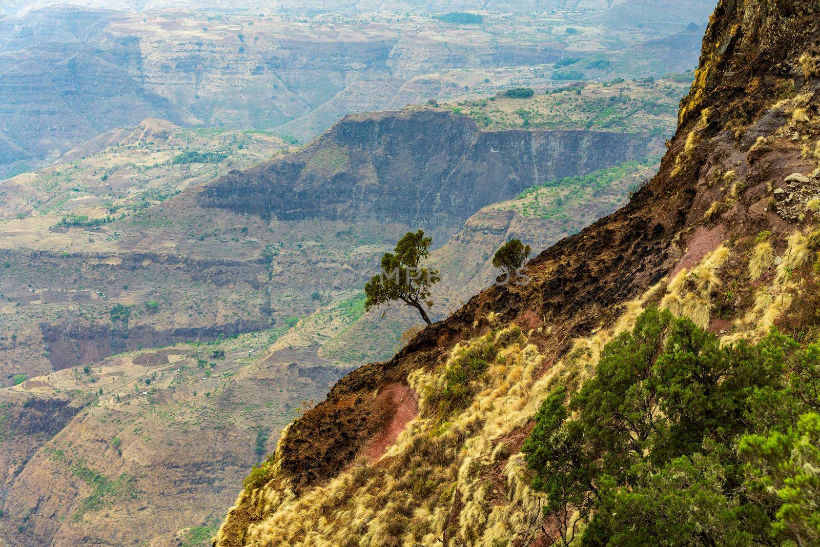 Ethiopian landscape, Ethiopia, Africa wilderness by artush