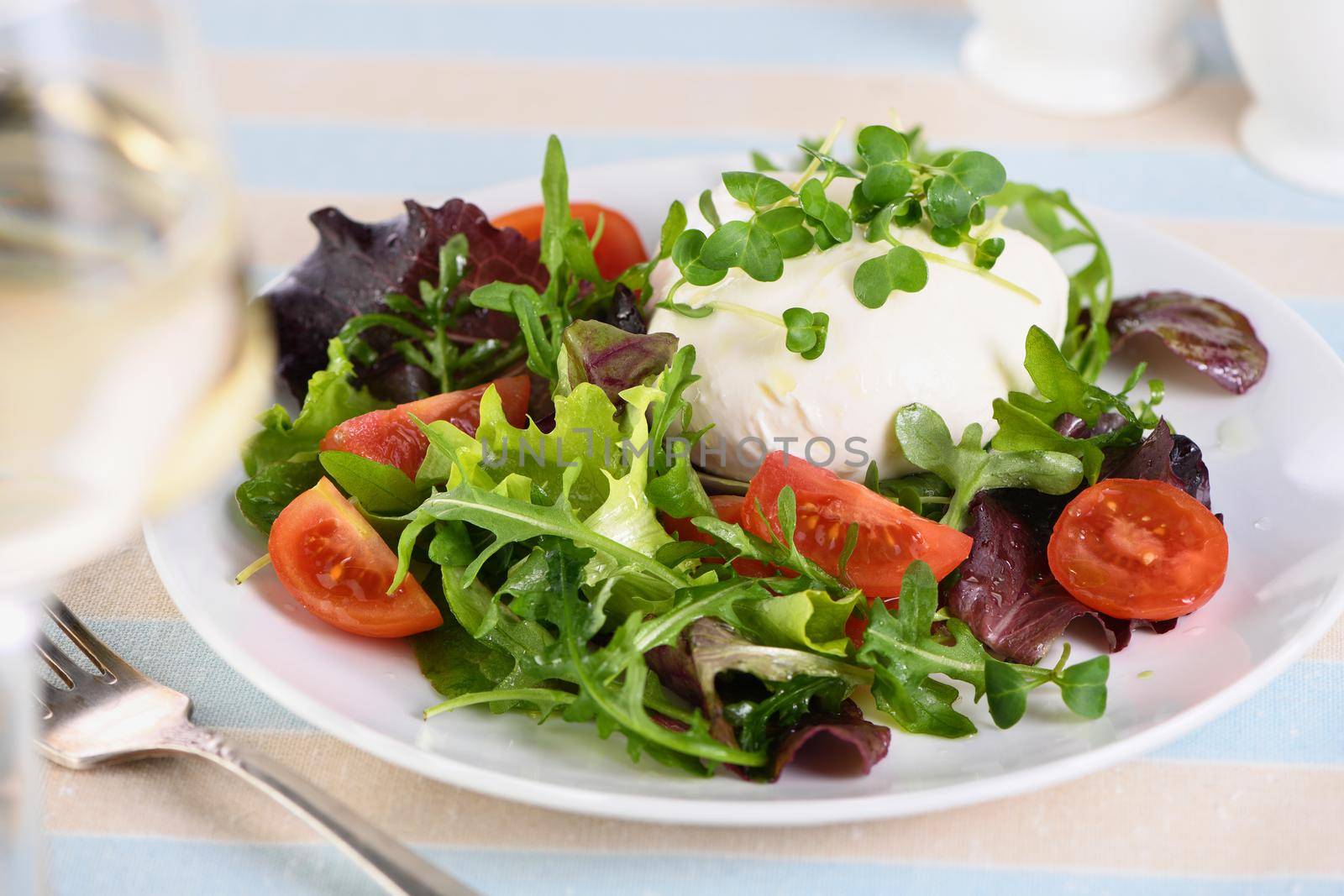   A healthy salad made from a lettuce leaves vegetables mix greens portion, arugula, tomatoes, radish sprouts and mozzarella cheese, olive oil, and a glass of white wine