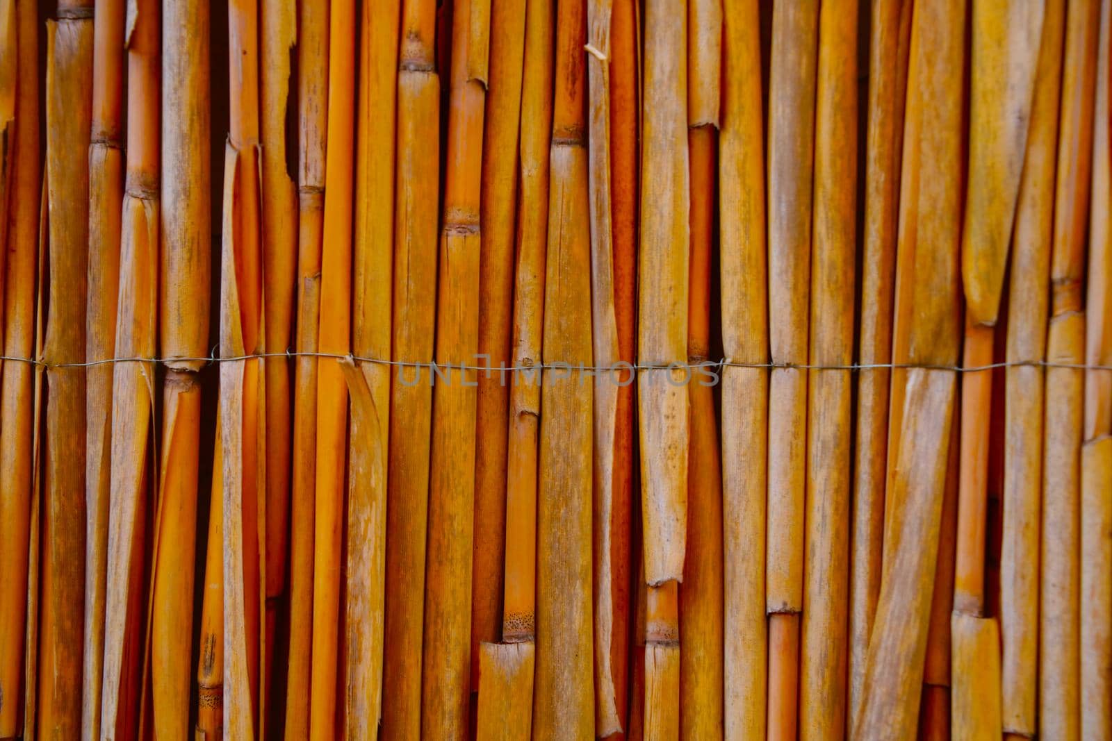 Close-up on a bamboo fence in the park