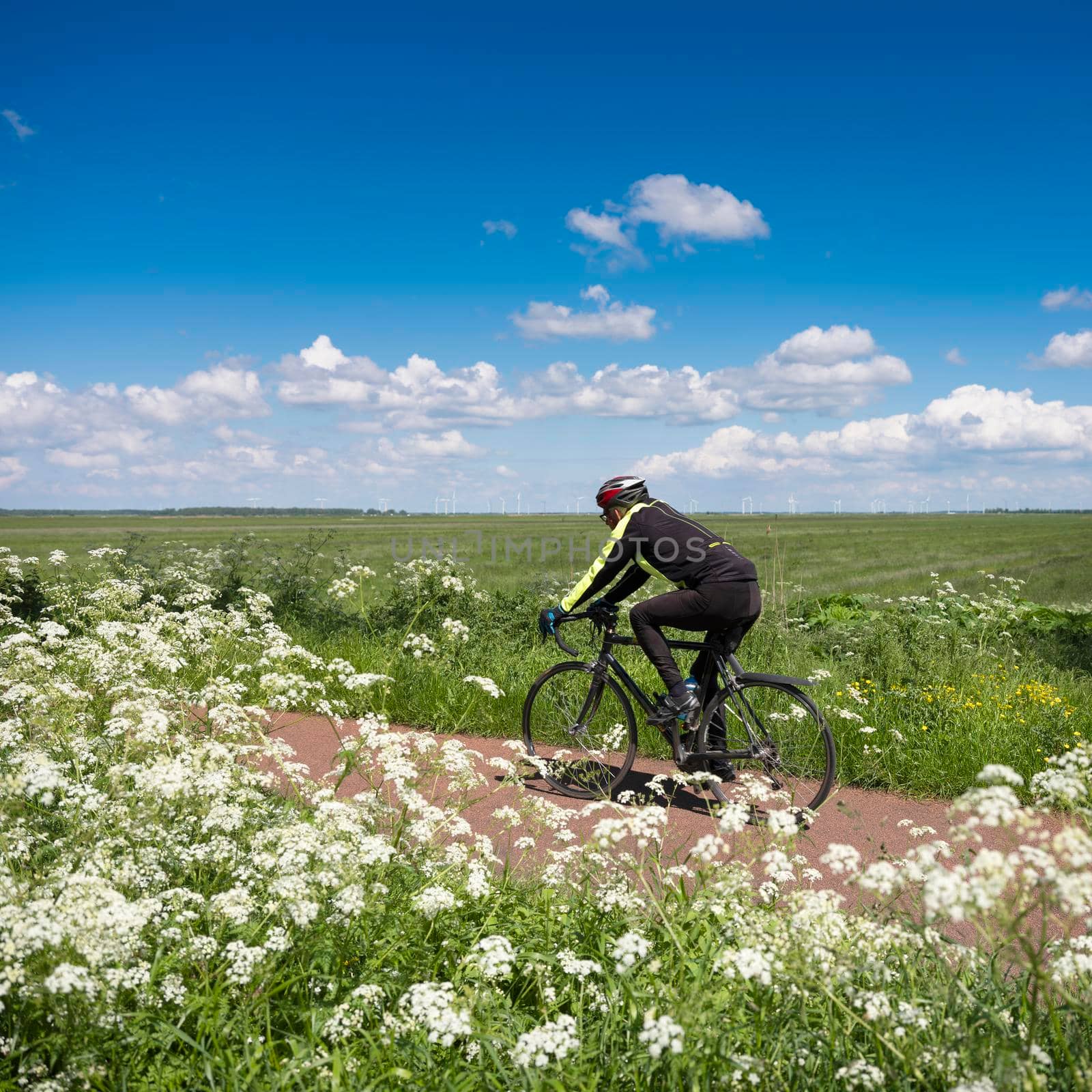 eemnes, netherlands, 28 may 2021: man rides bicycle near summer flowers and vast area of meadows in holland near amersfoort under blue sky