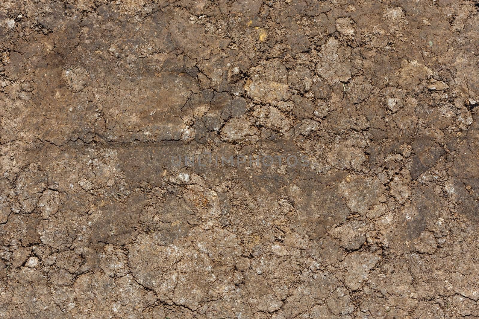 dry rammed bare earth surface under direct sunlight - full frame background and texture by z1b