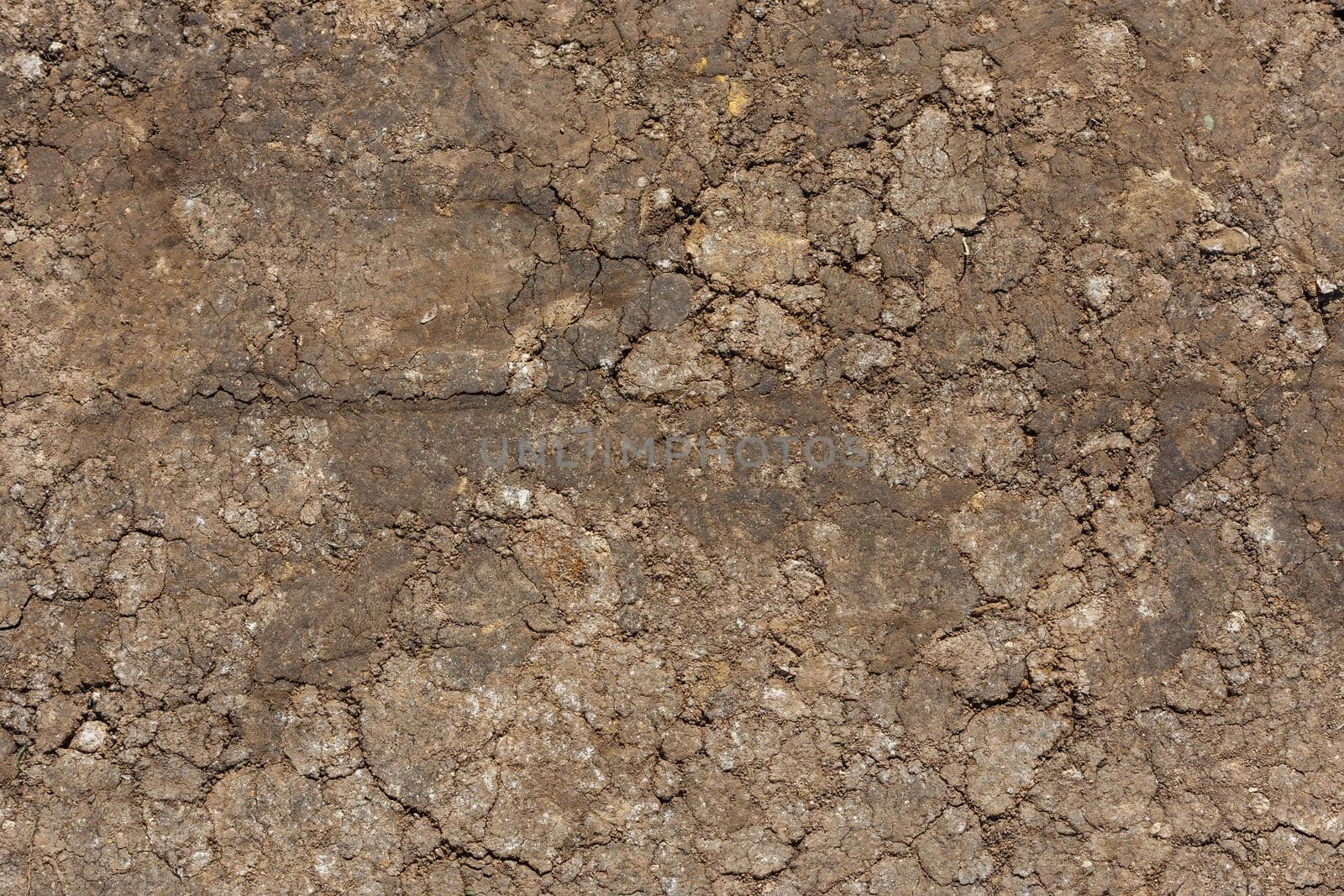 dry rammed bare earth surface under direct sunlight - full frame background and texture.