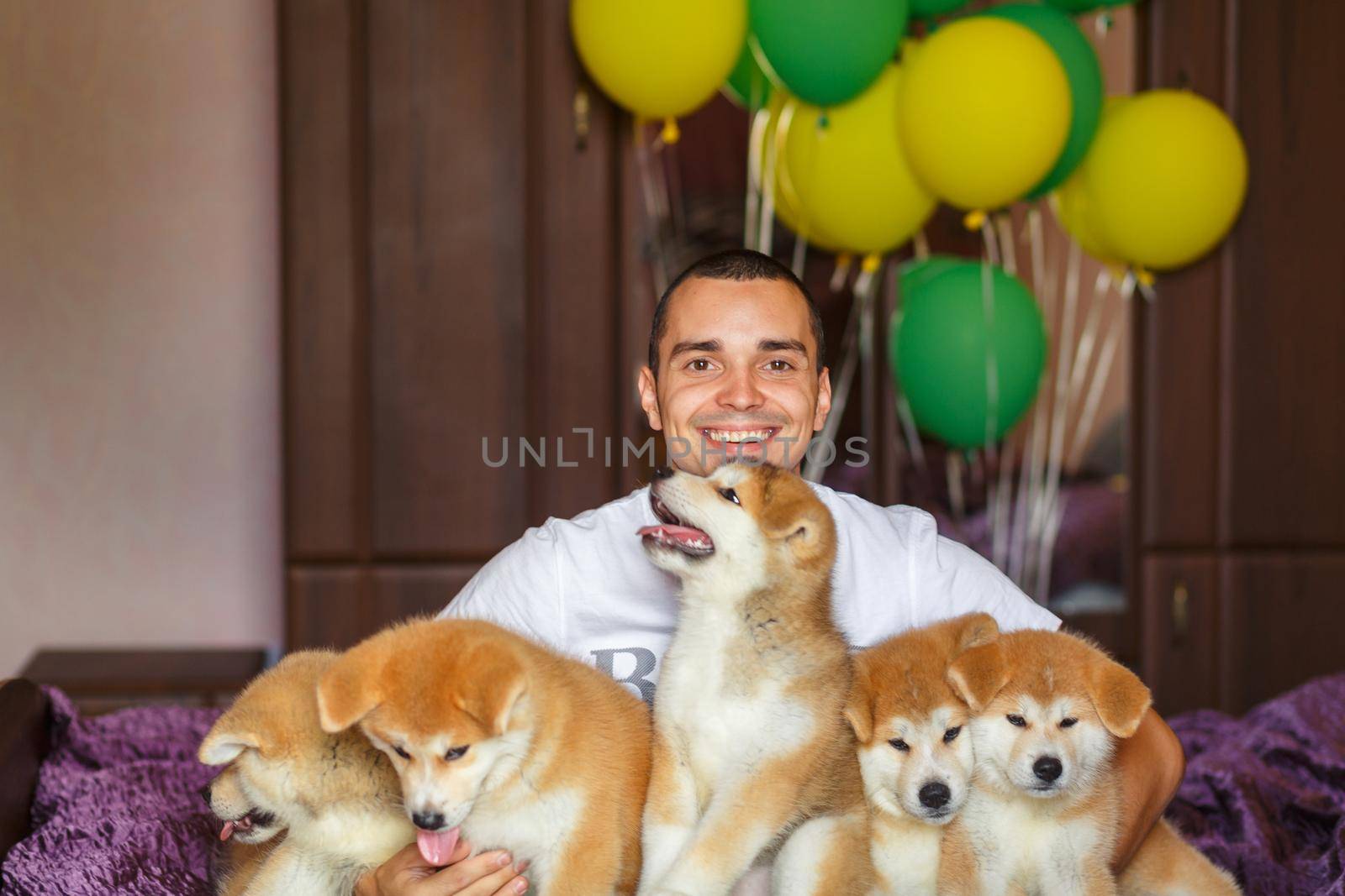 Handsome guy have fun hugs and play with akita inu puppies.