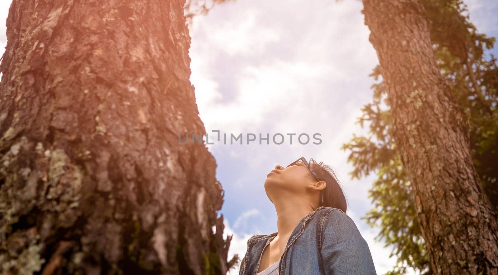 A happy woman stands near a majestic tree and looks up at the top enjoying nature in the spring garden. Traveling and non-deforestation concept.