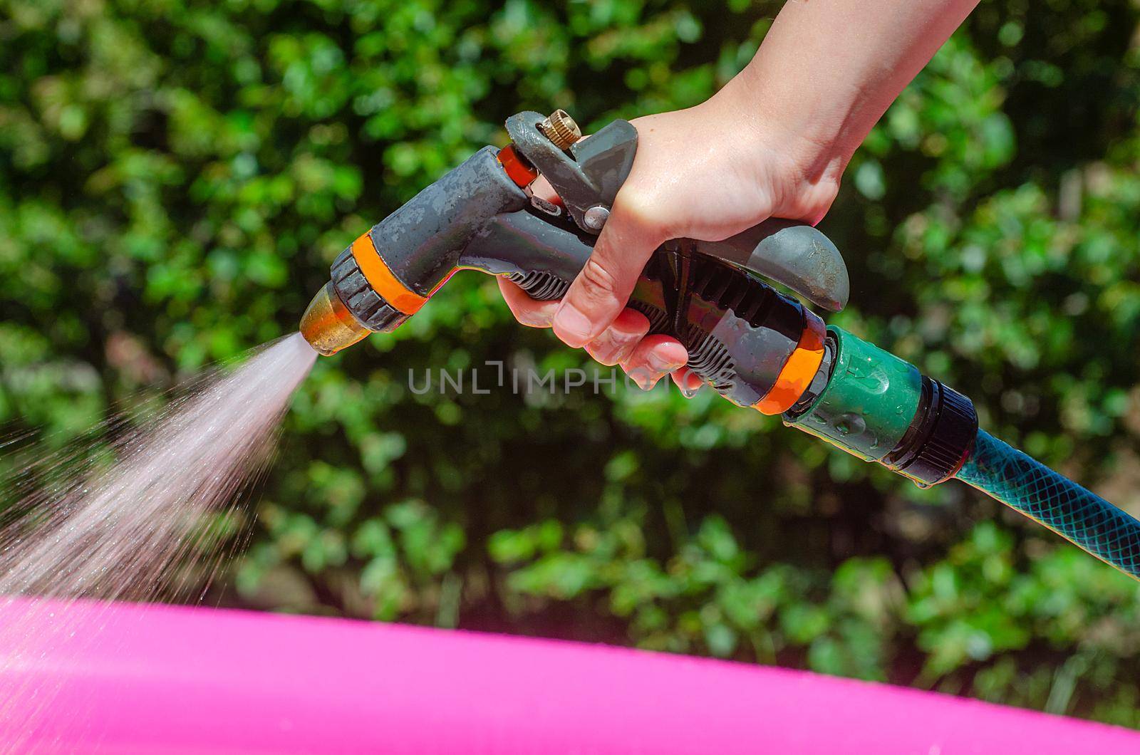 Watering grass in the garden in summer from hose with sprinkler. Gun nozzle sprayer with splash on green shrubs background. Gardening concept.