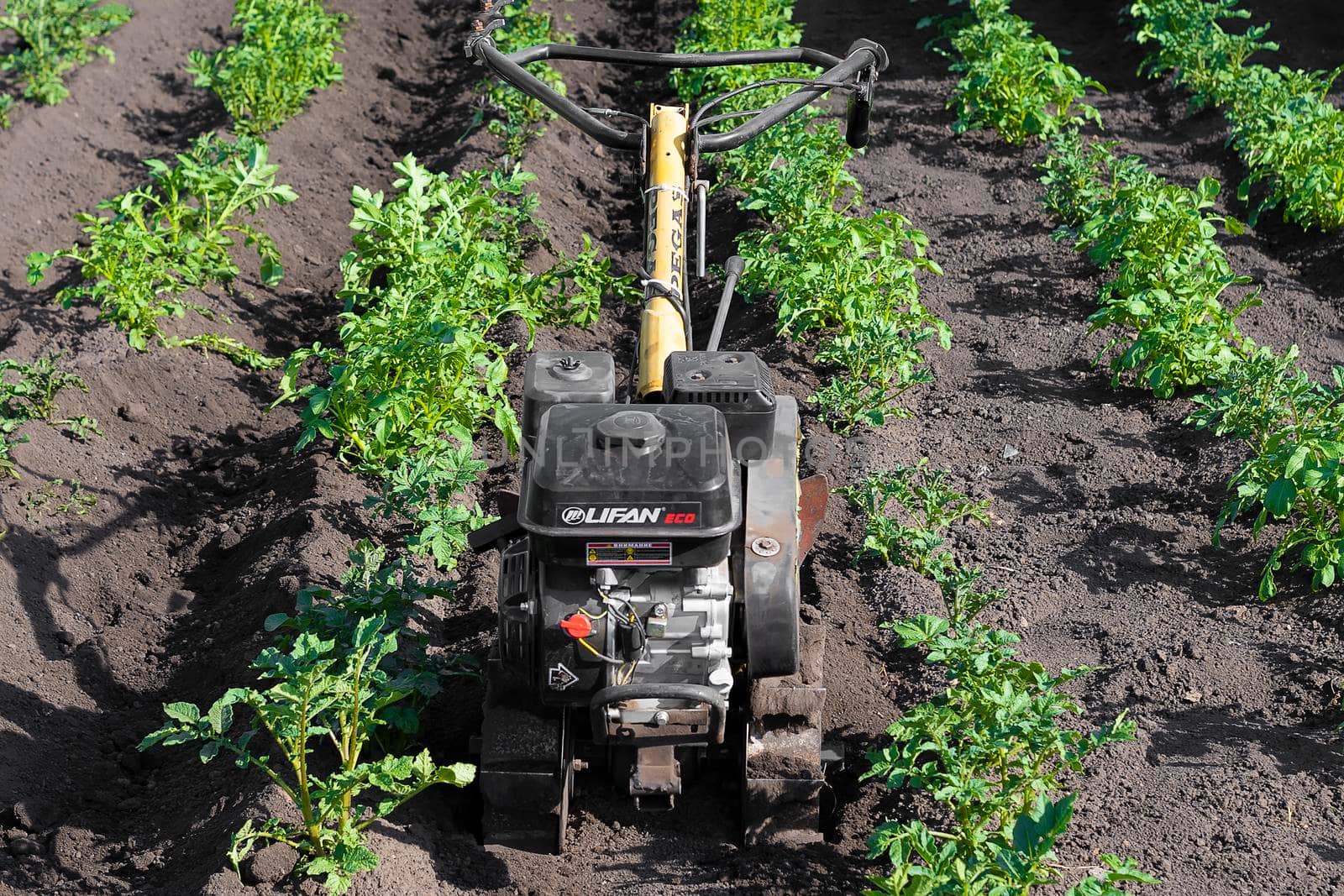 Agromashine motorcultivator. Bashkortostan, Russia - 12 June, 2021. by Essffes