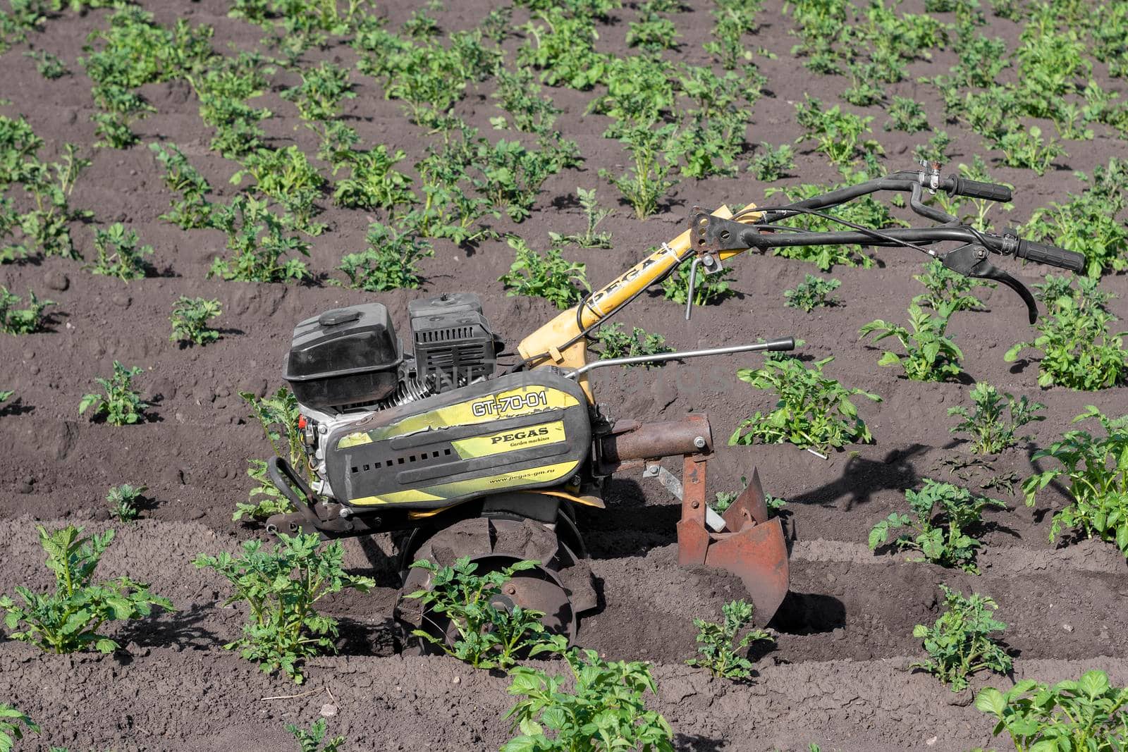 Agromashine banzin motor cultivator. Bashkortostan, Russia - 12 June, 2021. by Essffes