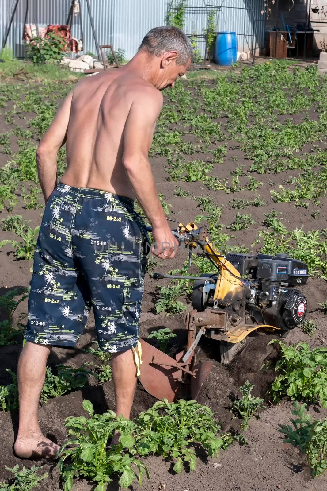 Man dipps potatoes with agromashine motorcultivator. Bashkortostan, Russia - 12 June, 2021. by Essffes